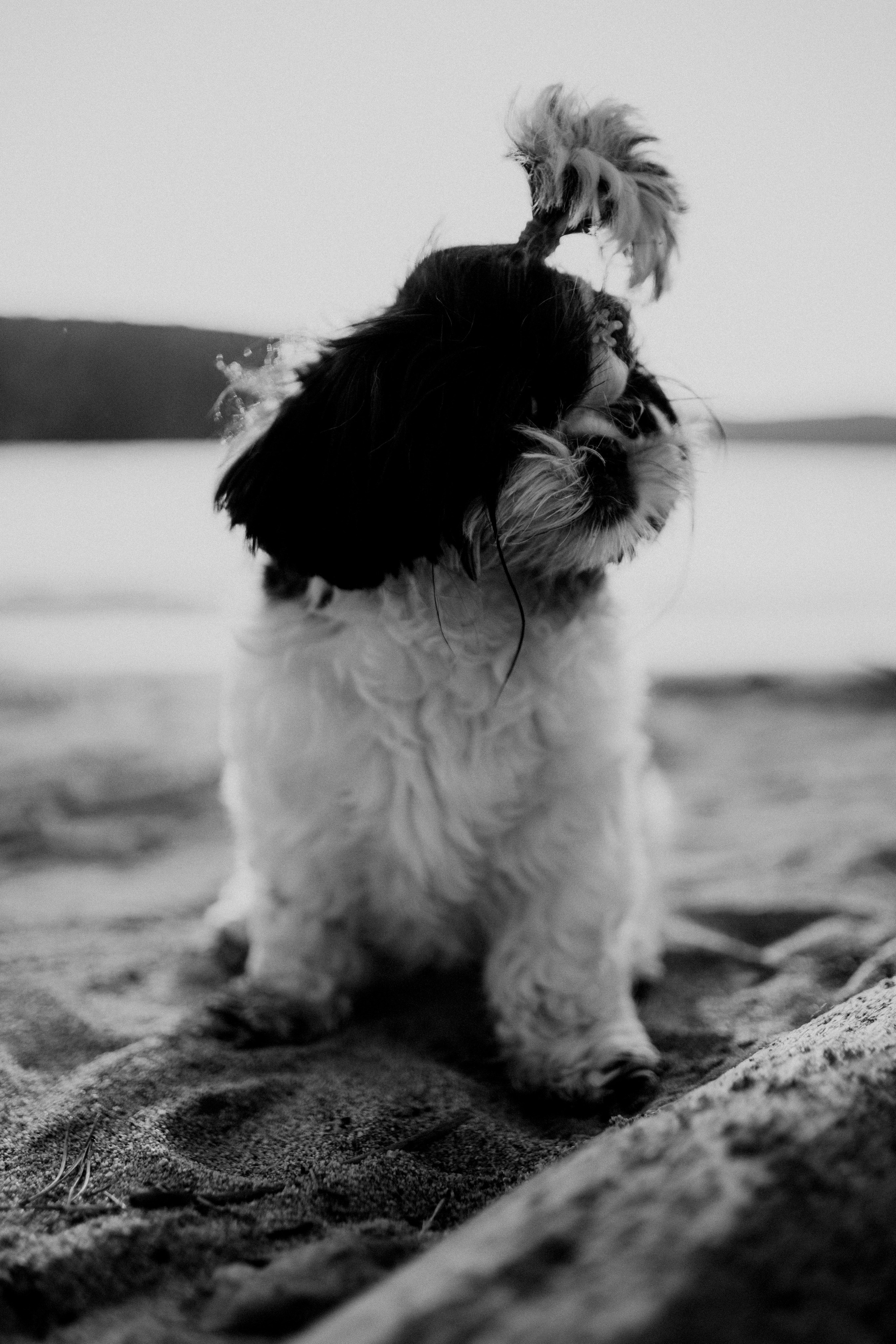 Я буду верить в тебя