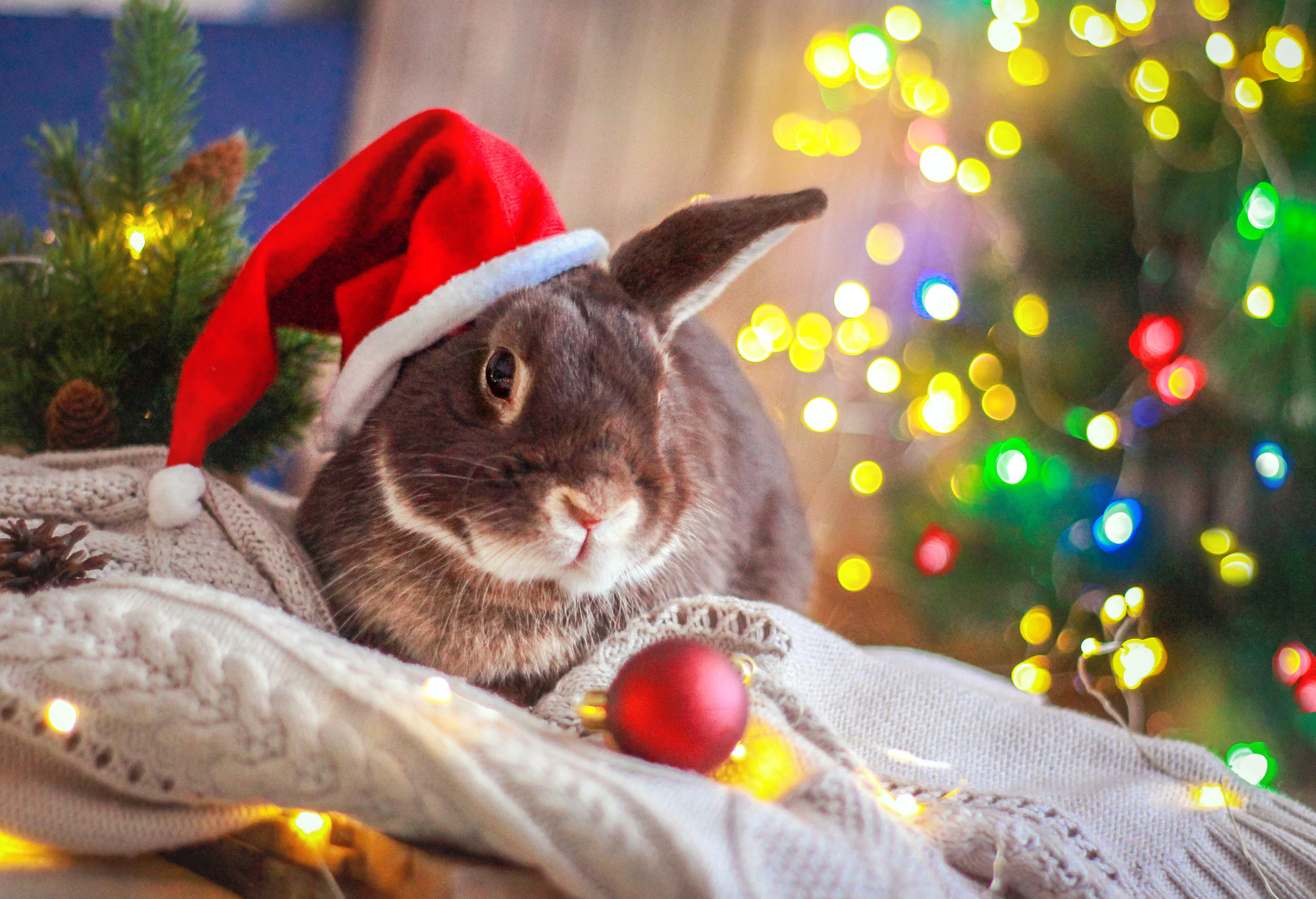 Новый год. Главная