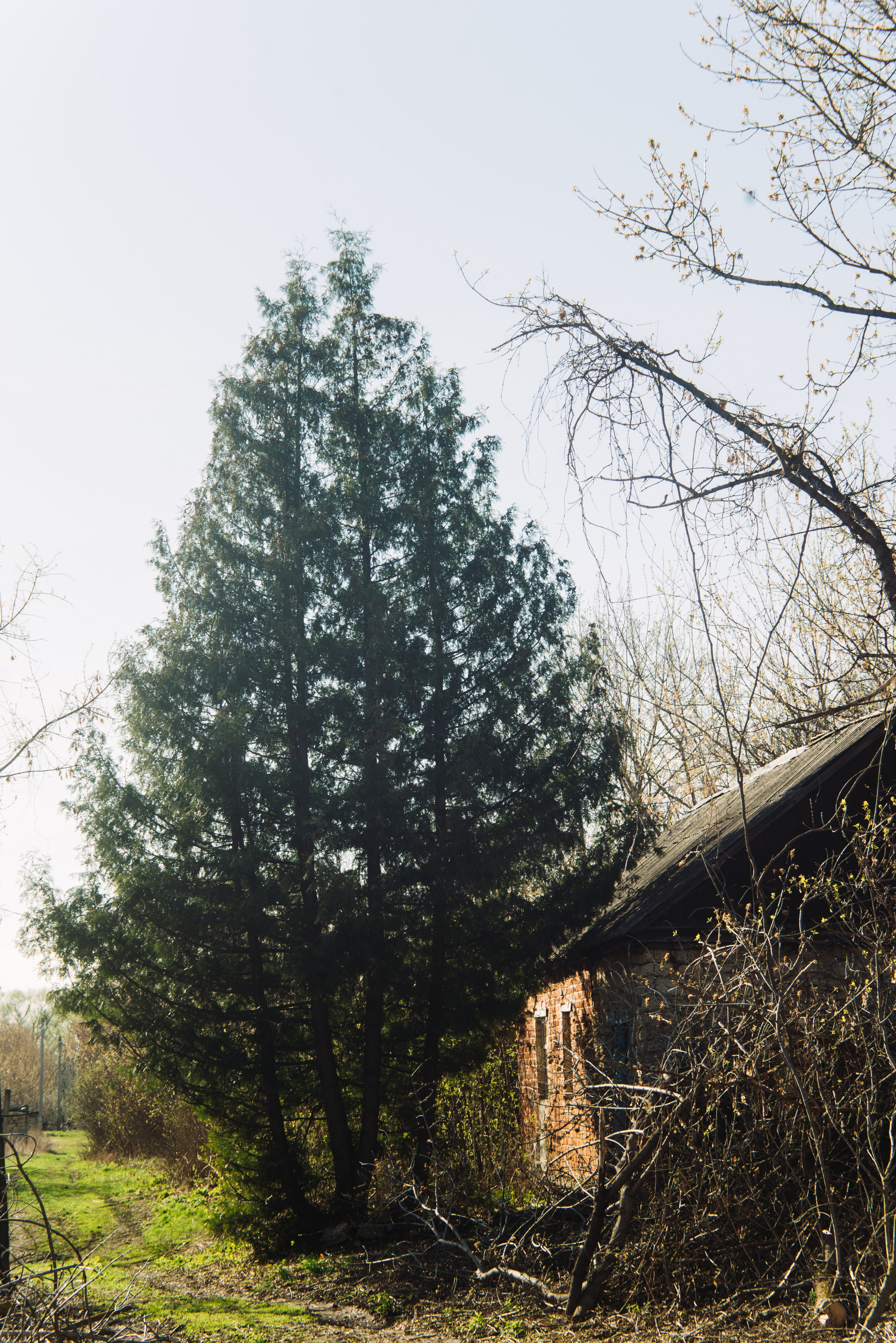 Орановка. Репортажный и портретный фотограф в Липецкой, Воронежской, Московской области Тёма Белоусов