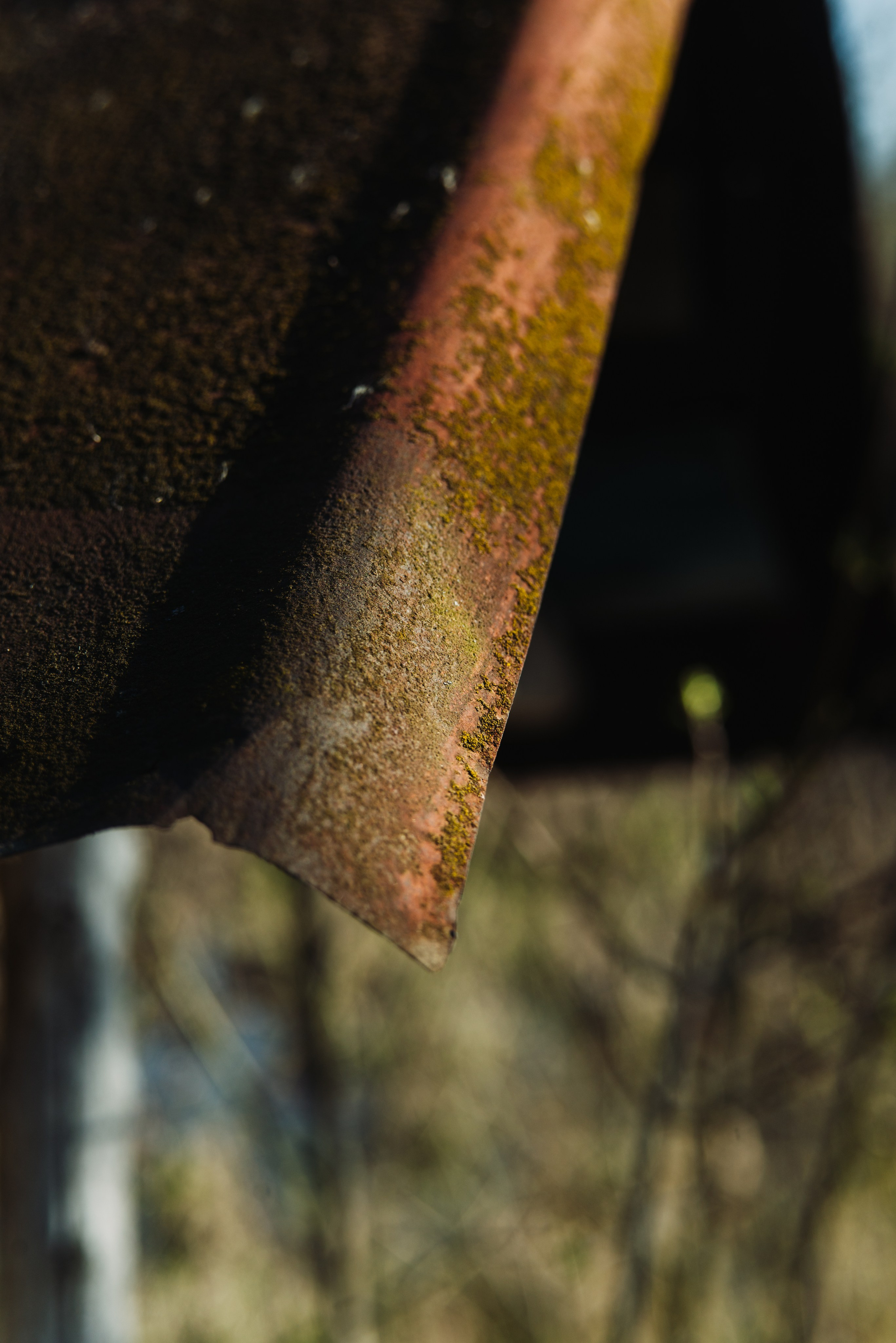 Орановка. Репортажный и портретный фотограф в Липецкой, Воронежской, Московской области Тёма Белоусов