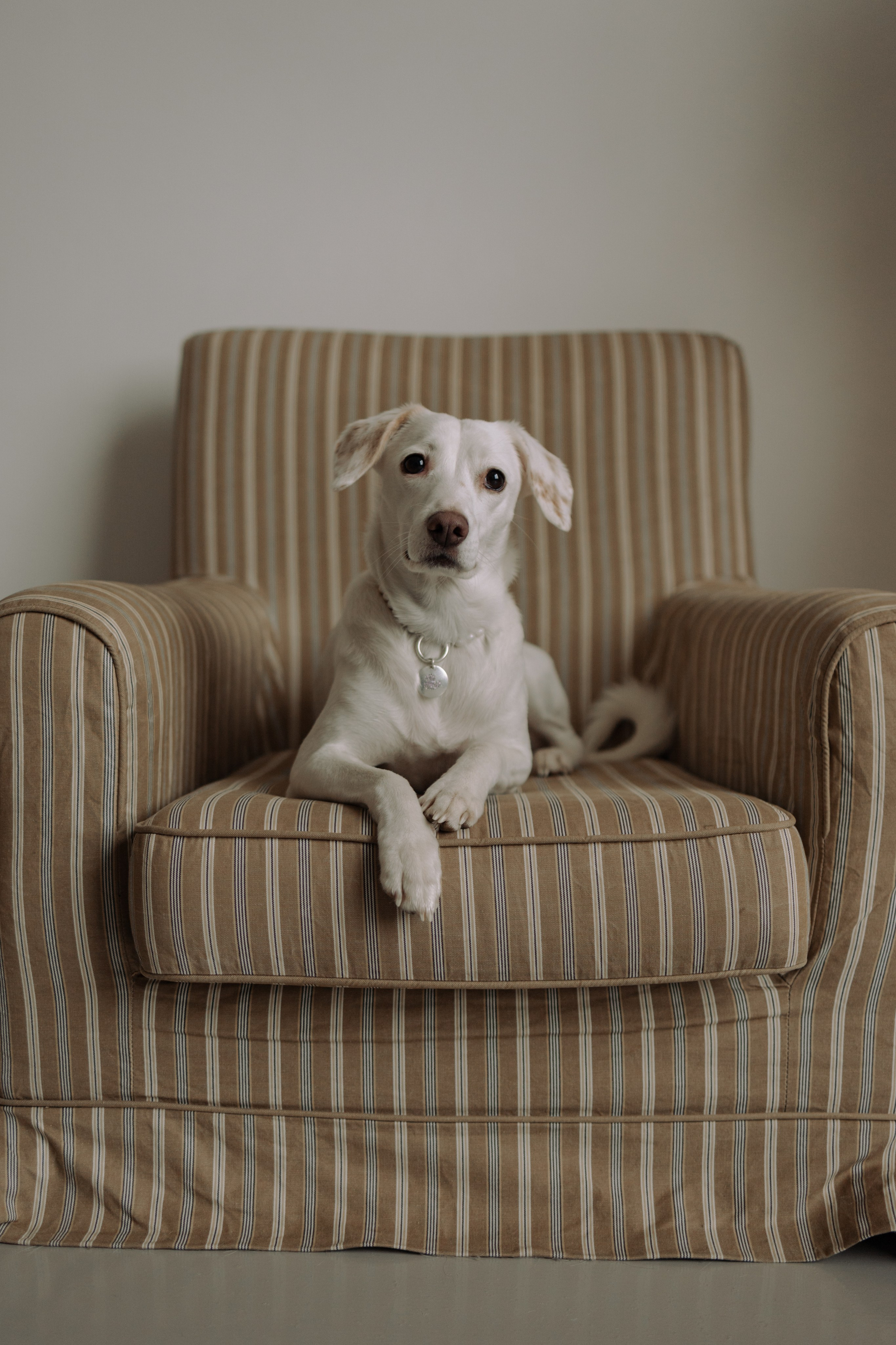 Луна и ее семья. Фотограф — Анималист | Санкт-Петербург