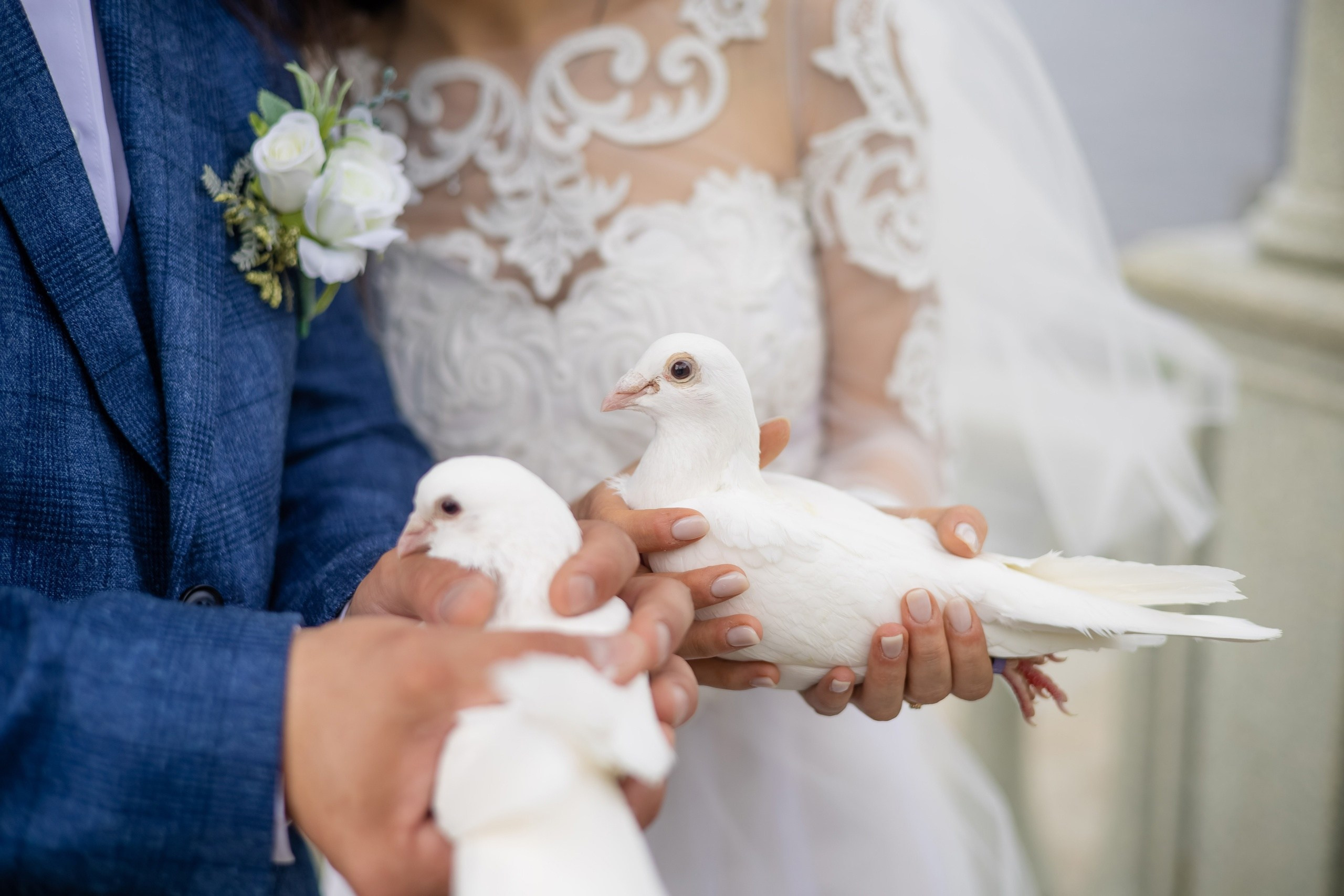 Wedding. KATERINA VINOKUROVA ФОТОГРАФ ПЕРМЬ