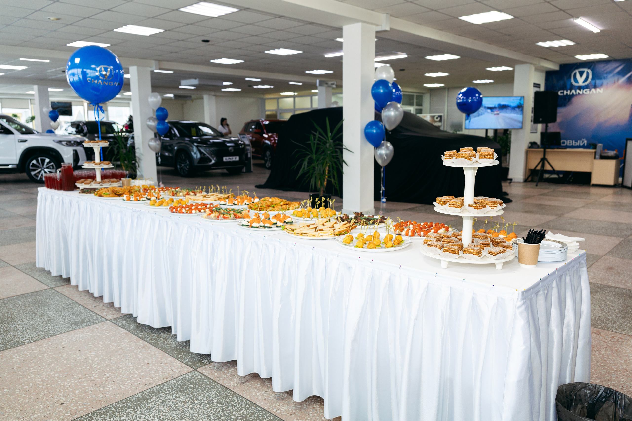 Агат- Авто. Фотограф Алина Ширанкова в Братске