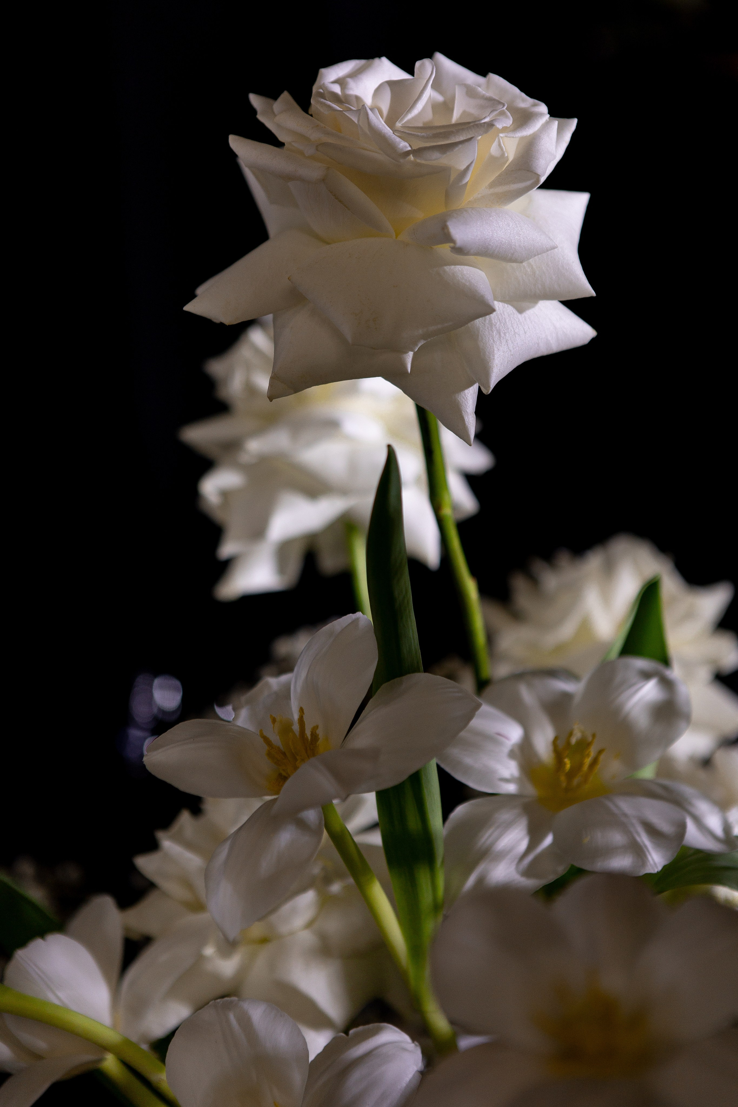 Илья и Наталья. Свадебный фотограф Ксения Трухина в Нижнем Новгороде и Москве