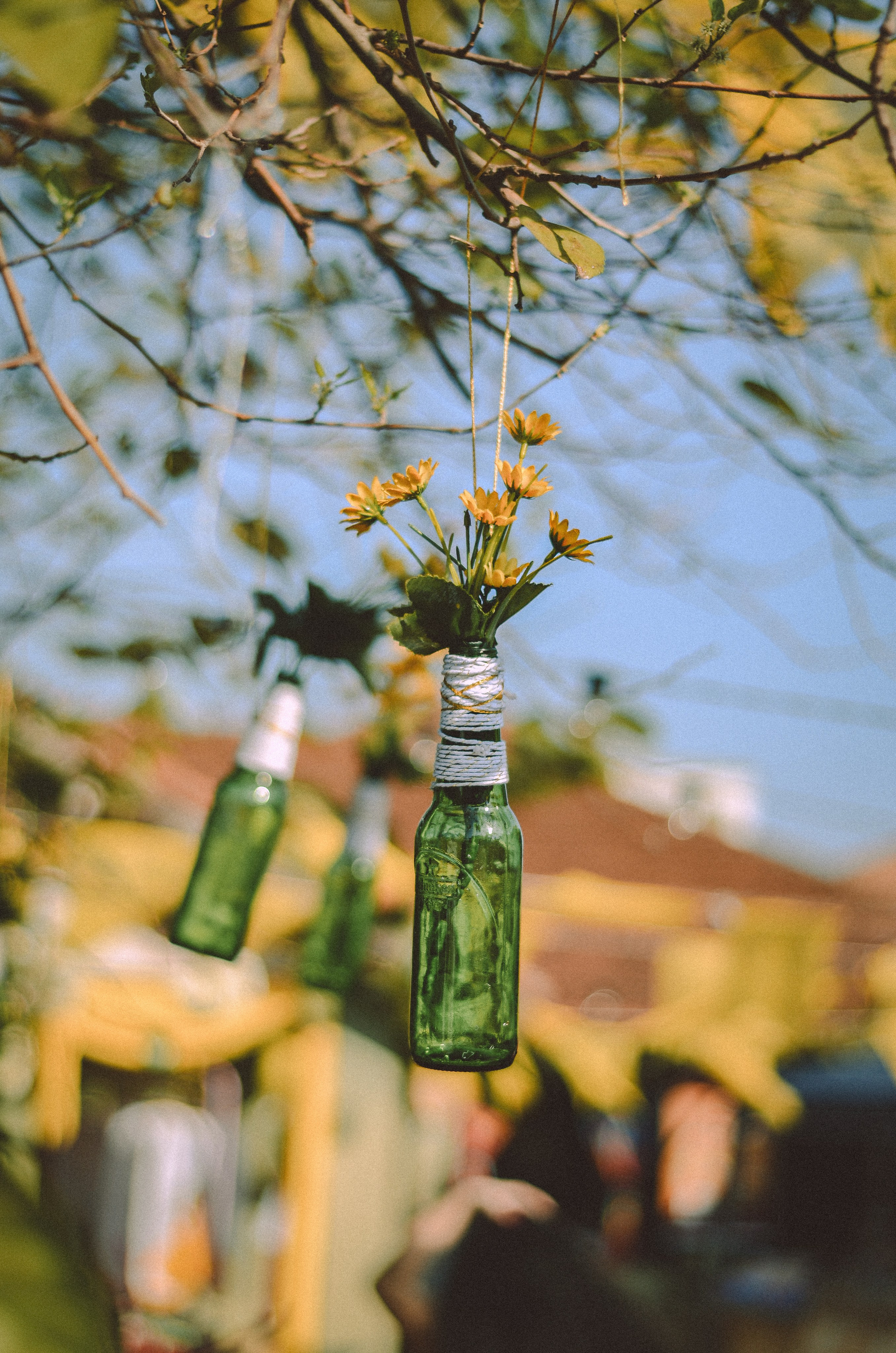 FEST.ART. Fotógrafo | Sessão de fotos