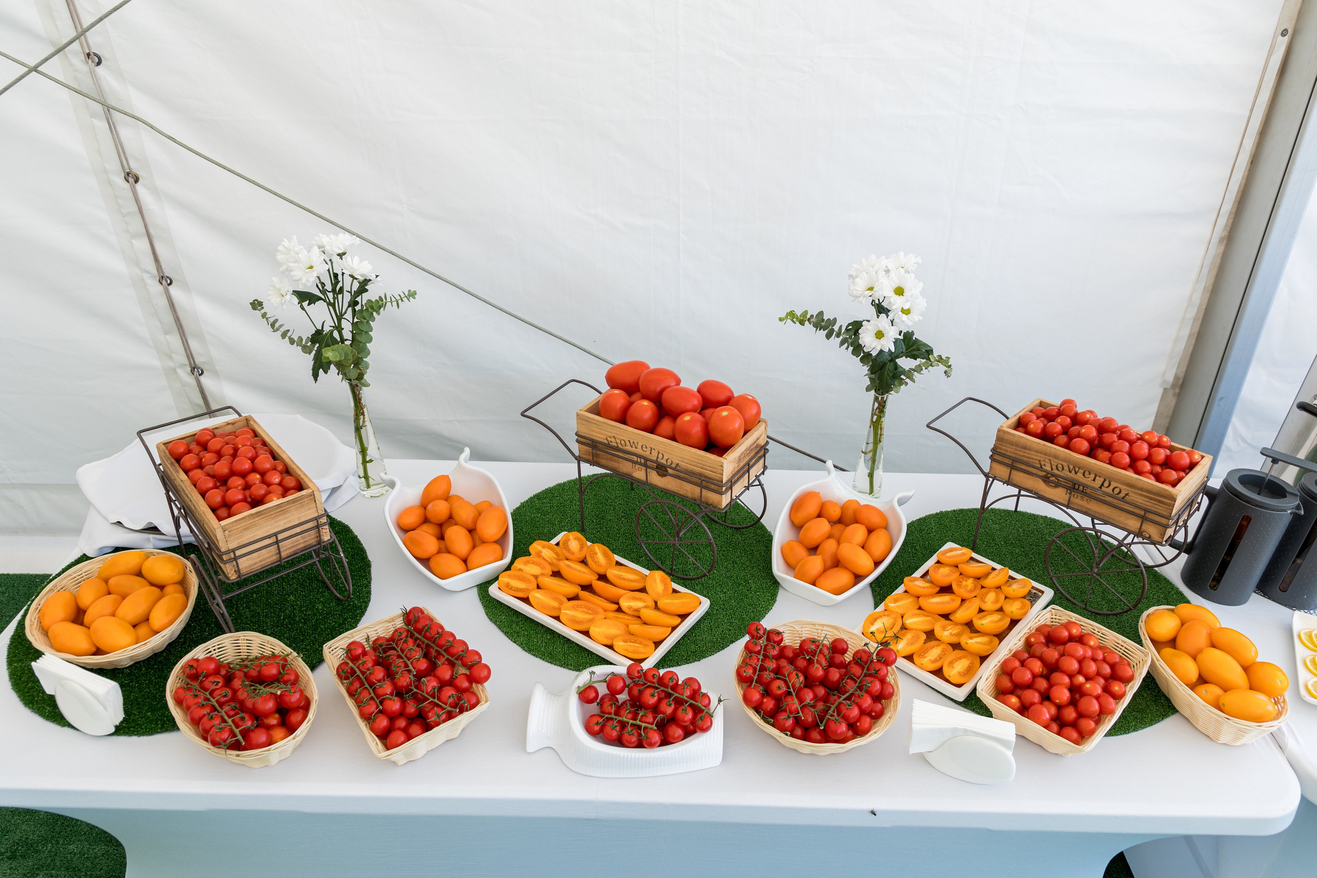 Воронеж Агро-Первый камень. Владислав Волков | Фотография и видеосъемка в Воронеже