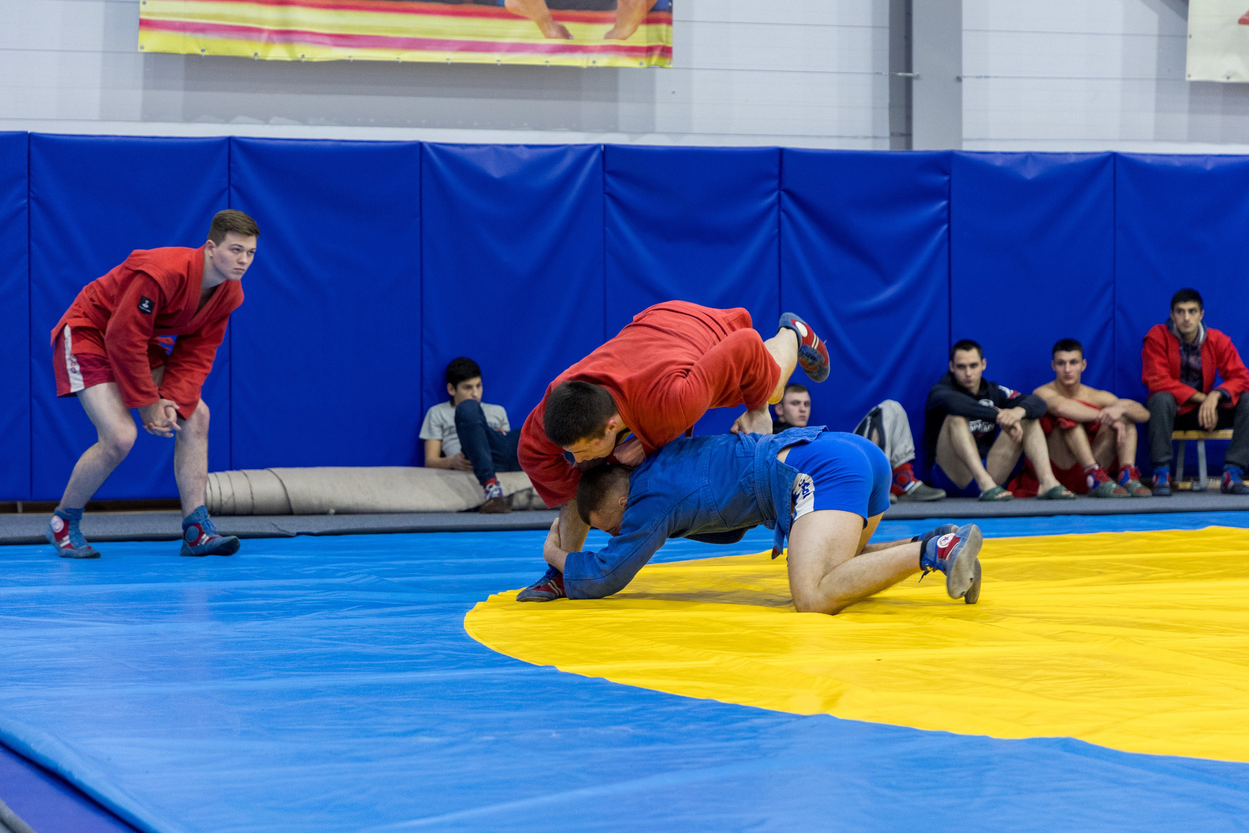 Чемпионат и Первенство по Самбо. Владислав Волков | Фотография и видеосъемка в Воронеже