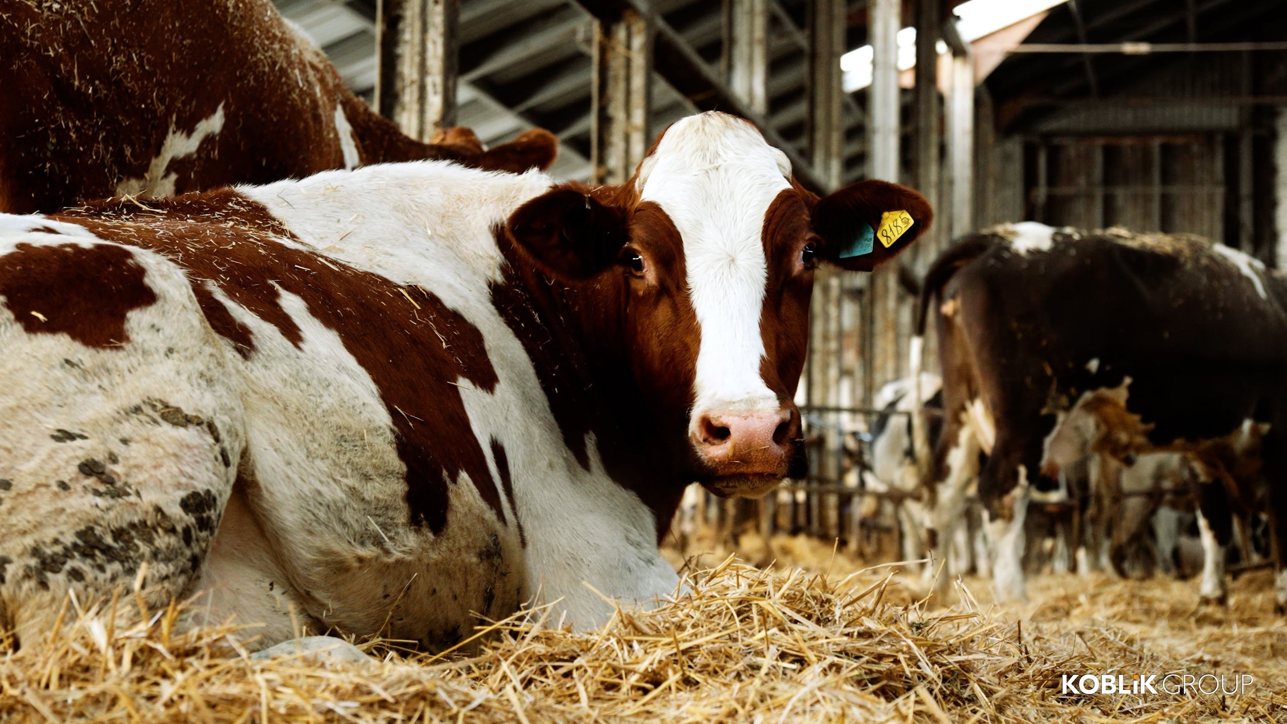 Аграриям и промышленности. Видеосъемка для бизнеса Воронеж