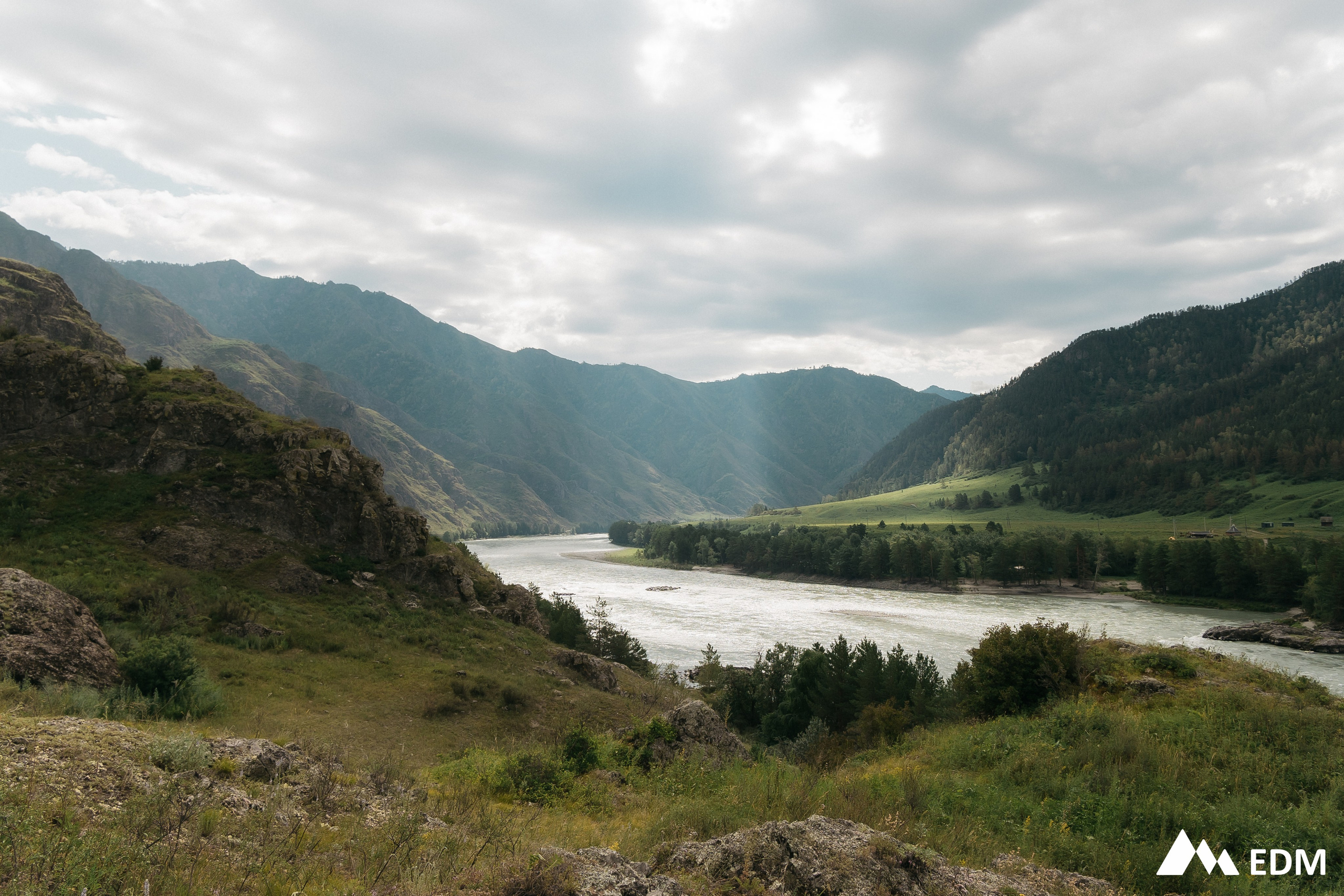EDM2025. Фотограф Новосибирск Вероника Вишневская