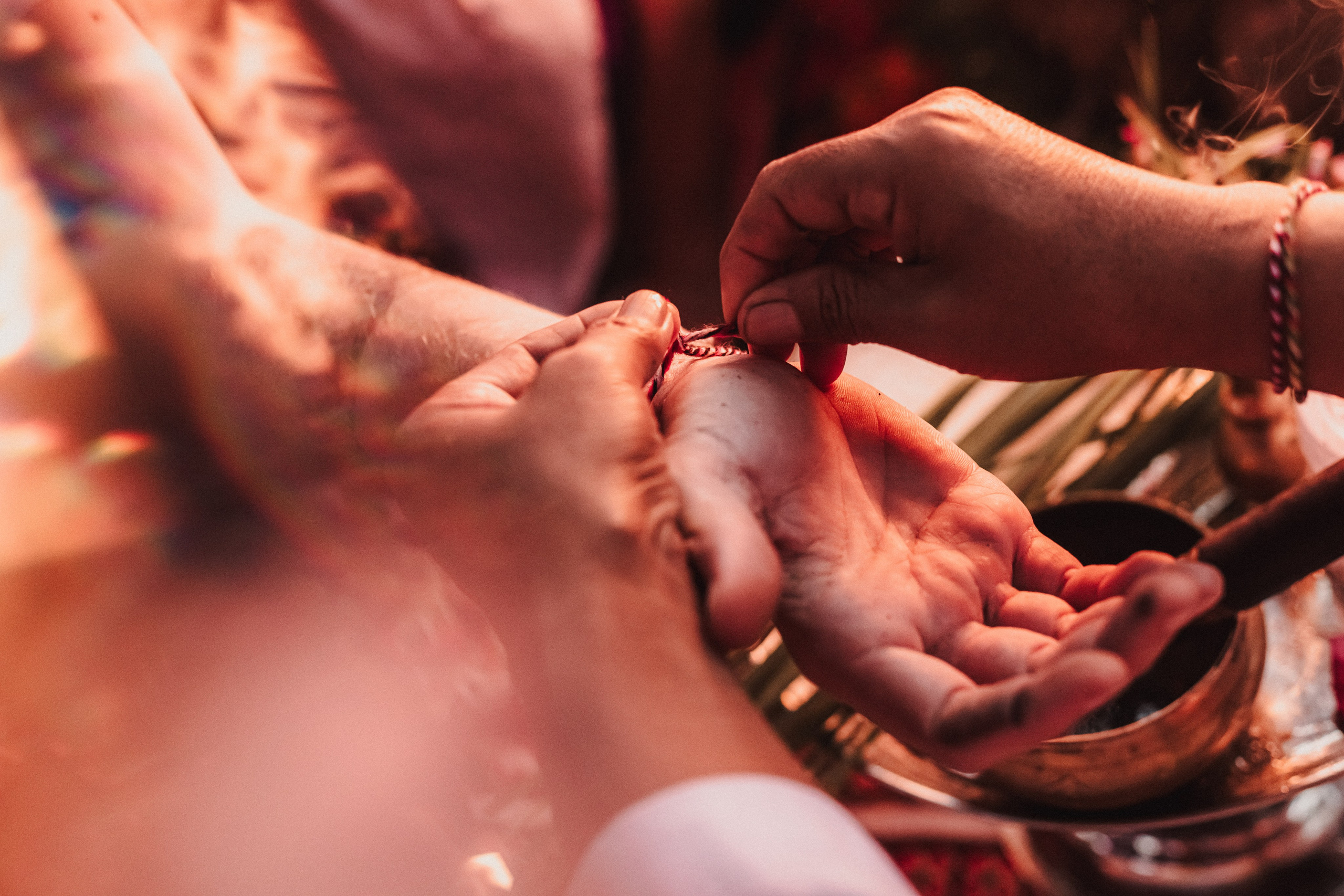 NY Alegria festival. Мариам Багдасарян