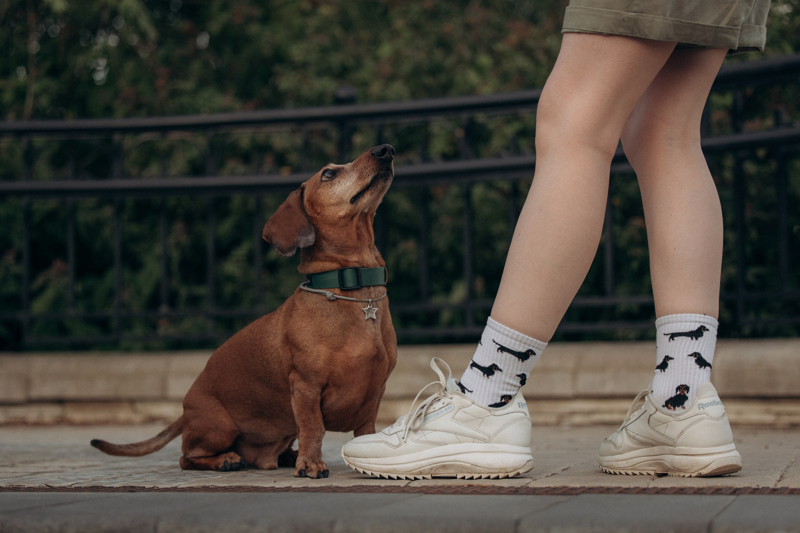 Минск. Алина и Сэм. Фотограф анималист в Казани Алина Сулейманова. Фотограф животных