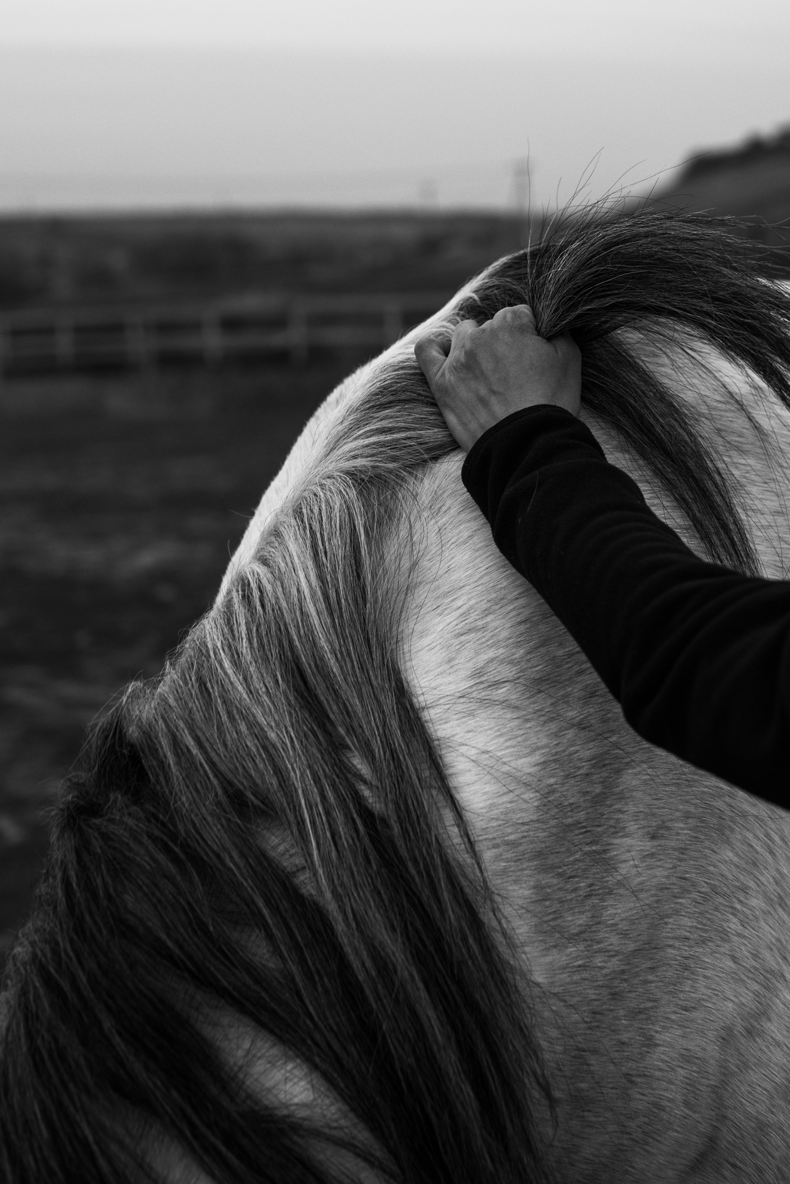 Школа верховой стрельбы из лука «Saadak». Свадебный, портретный фотограф в Волгограде Ермашова Дарья
