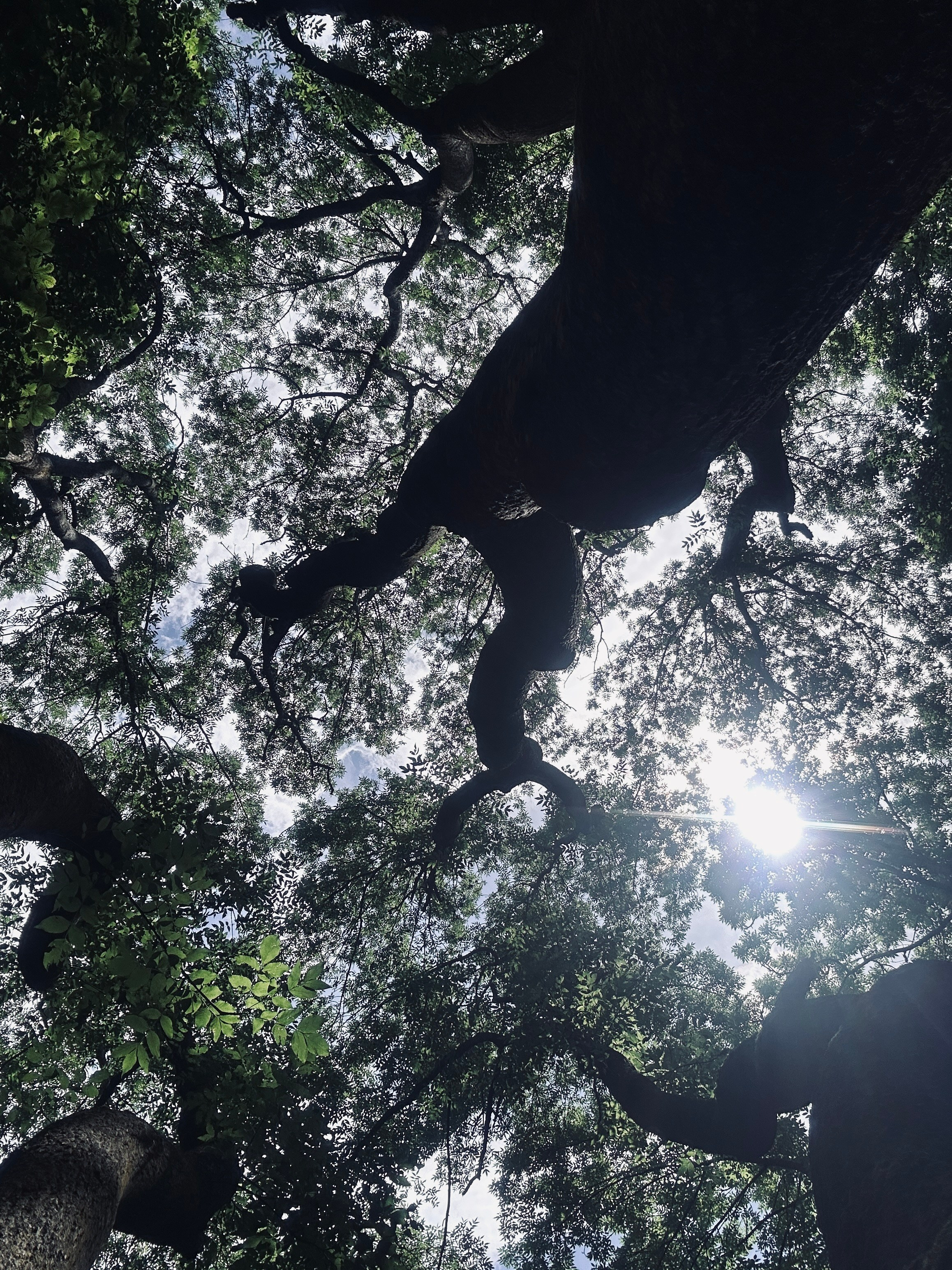 Флора и фауна. Смотри, красота!