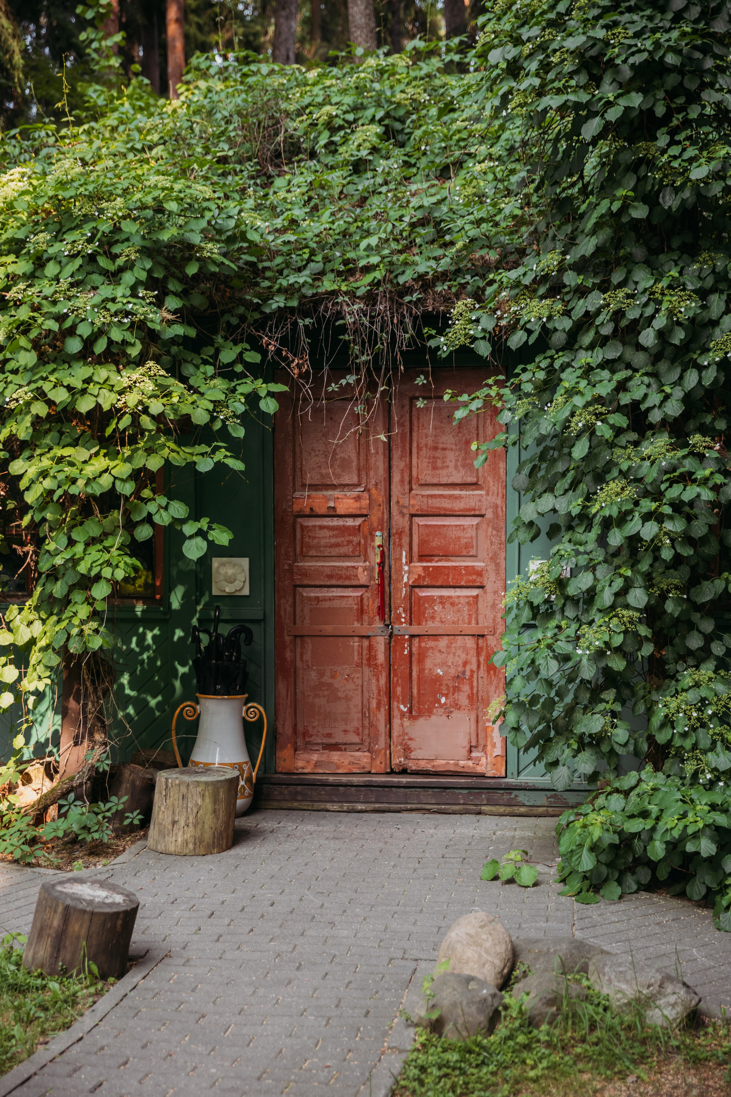 Родные люди «Переделкино». Леся Гаранина. Семейный фотограф/видеограф Москва и область