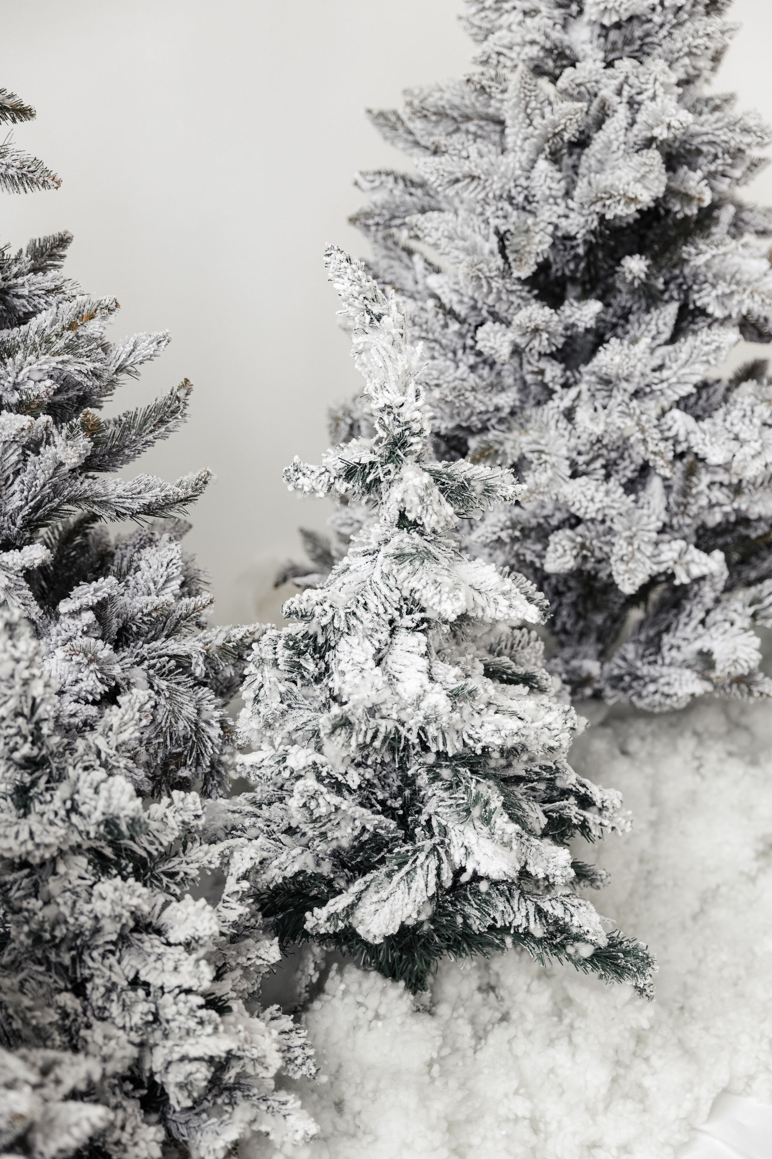 Студия Простор. Семейный и детский фотограф в Твери Марина Марамыгина