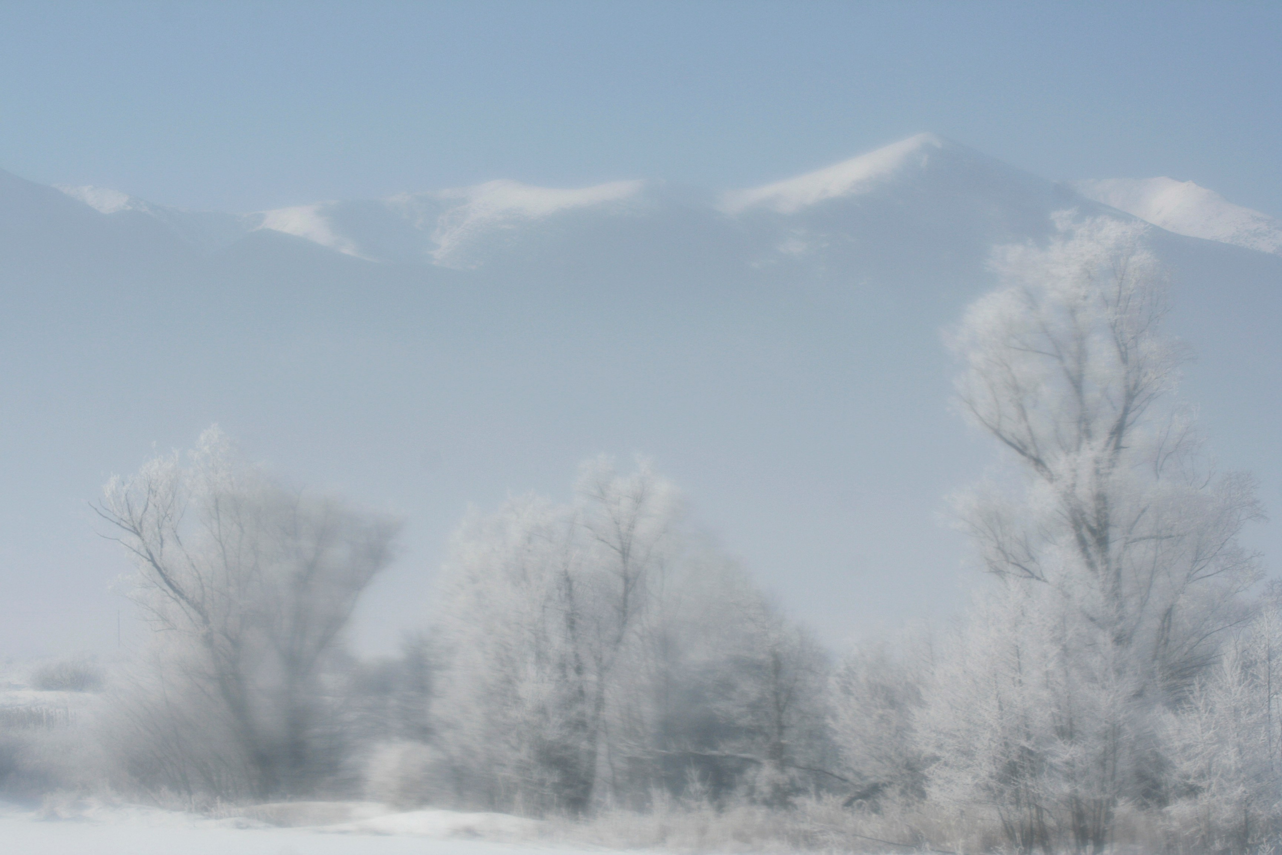 Travel. Лена Крутова. Фотограф в Москве
