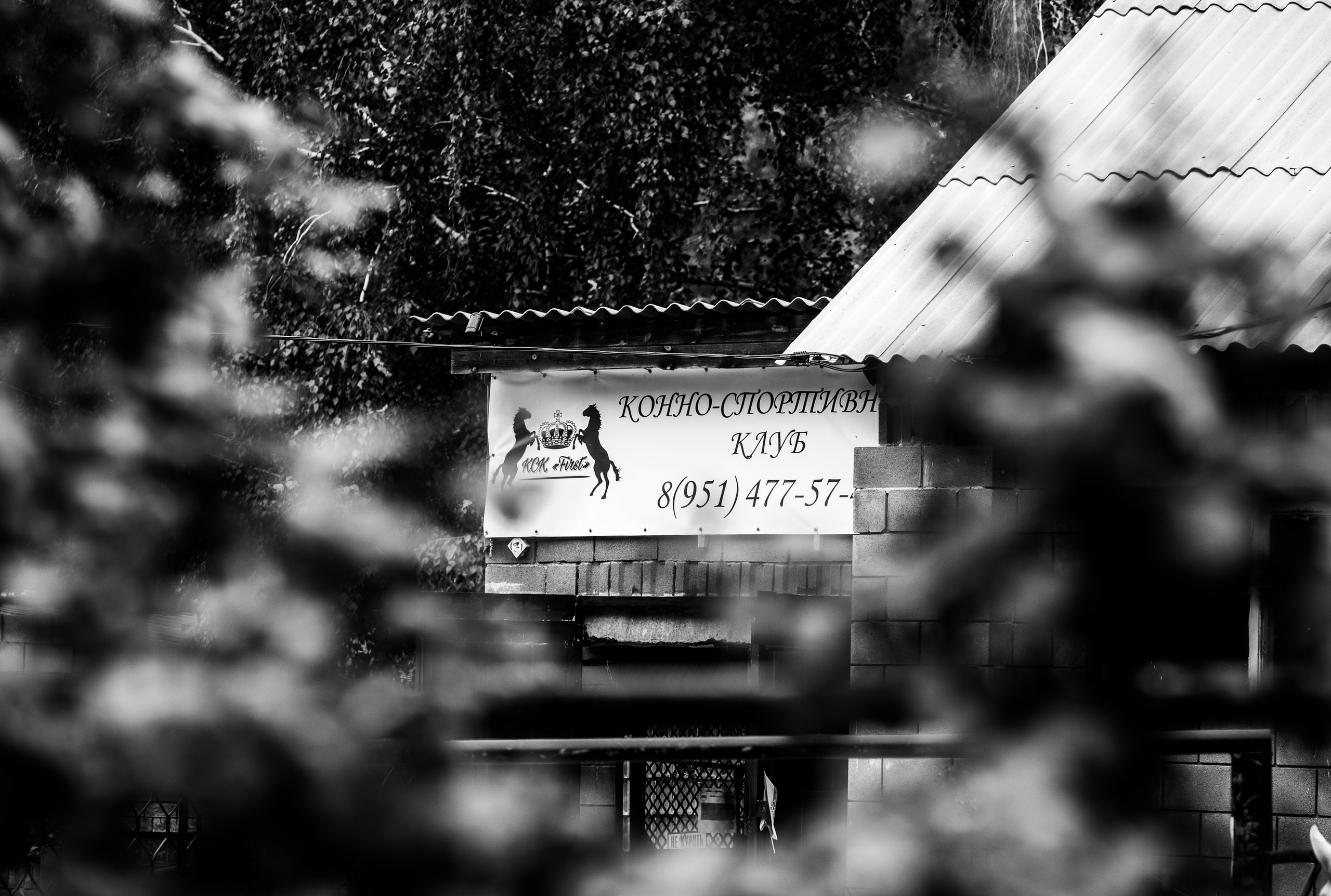 Корпоративный тимбилдинг — «Монтажный горизонт». Репортажный и свадебный фотограф в Челябинске Елисеев Павел