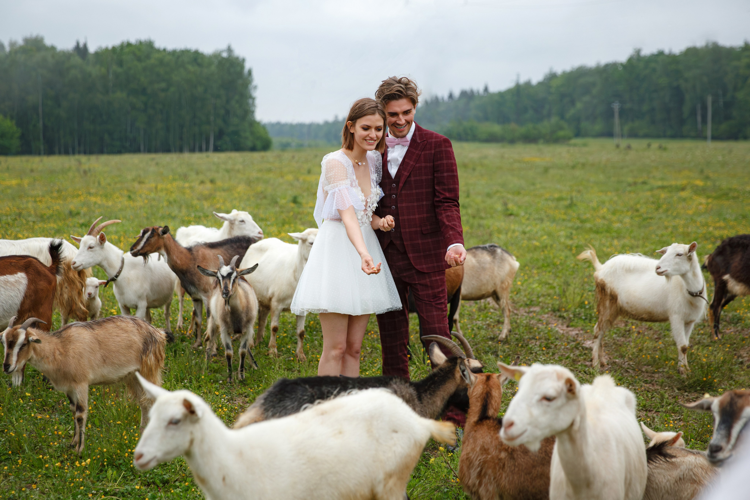 Адам и Нина (парк-отель Белые Аллеи). Свадебный фотограф Москва и МО Сергей Киржаев