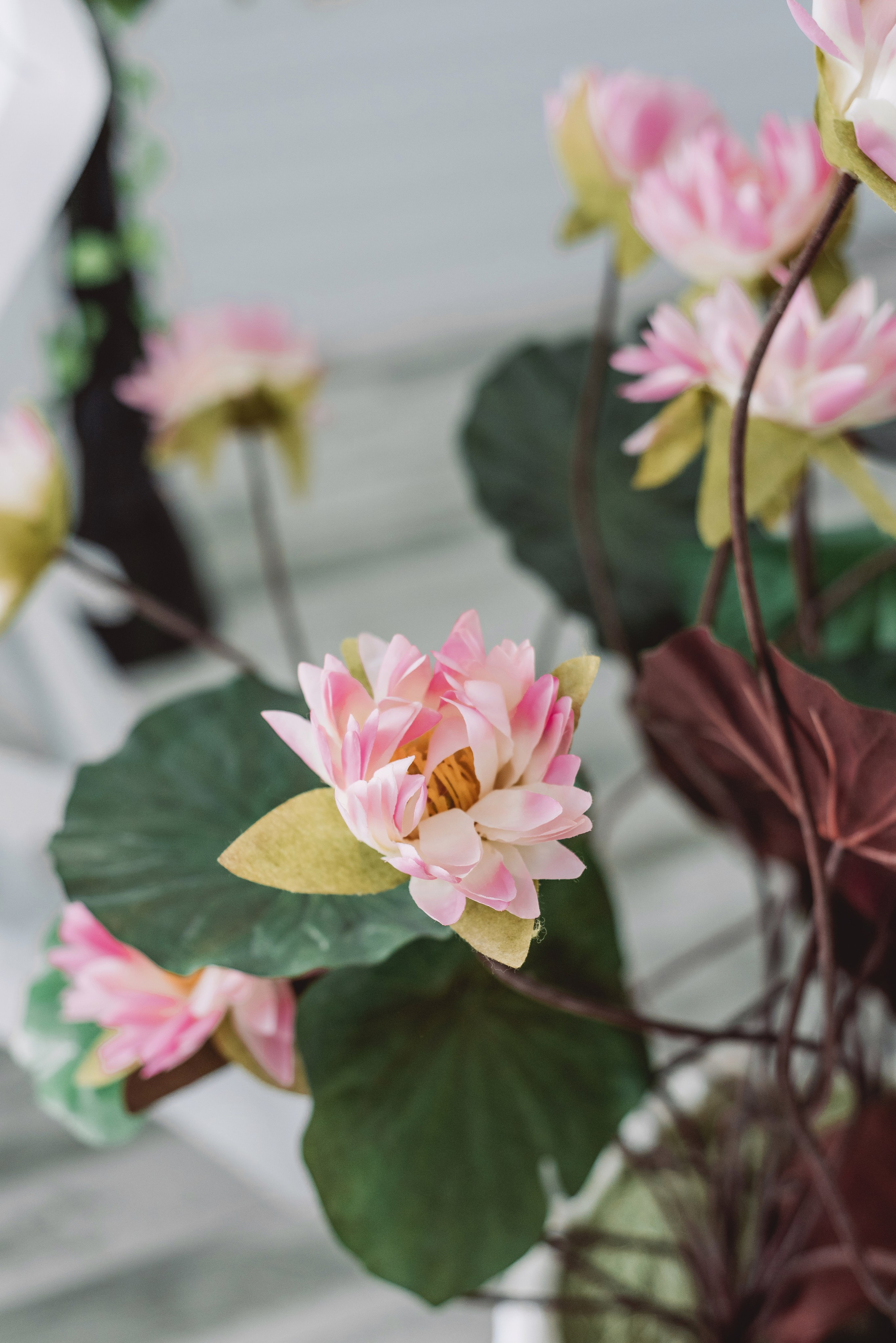 Фитнес-клуб «Оригинальный», г. Коломна. ФОТОГРАФ ИРИНА ШАМАТАВА