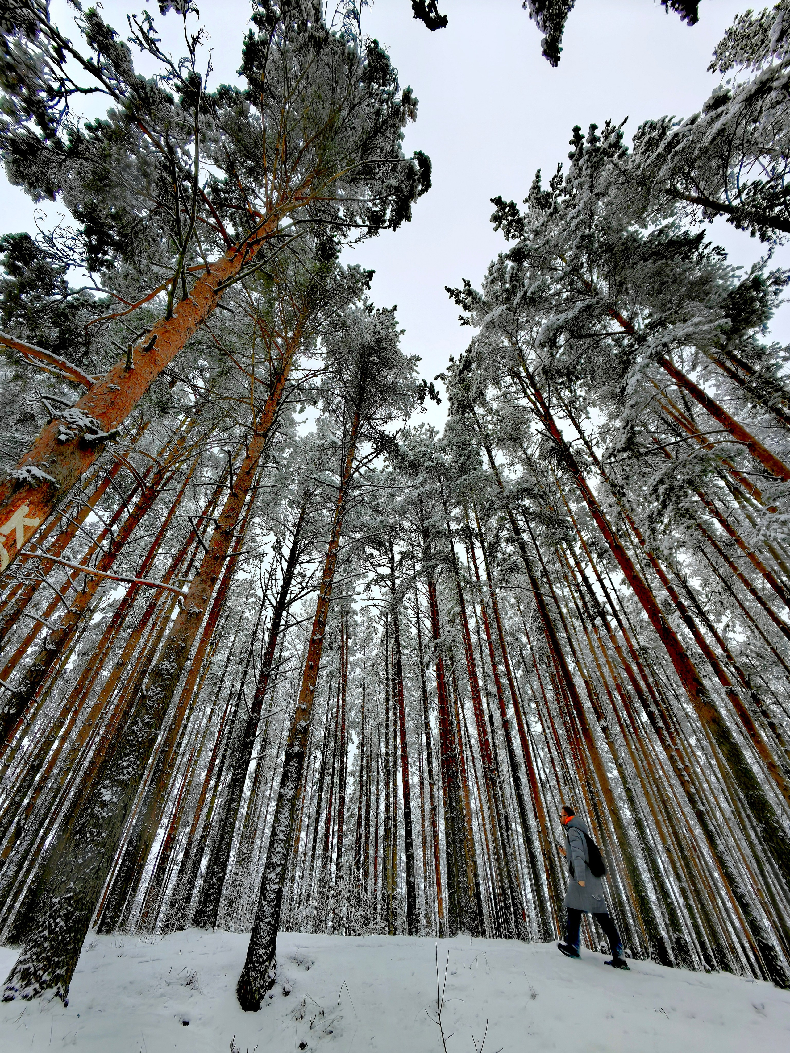 Уличная съемка. Фотограф и оператор Илья Гунбин