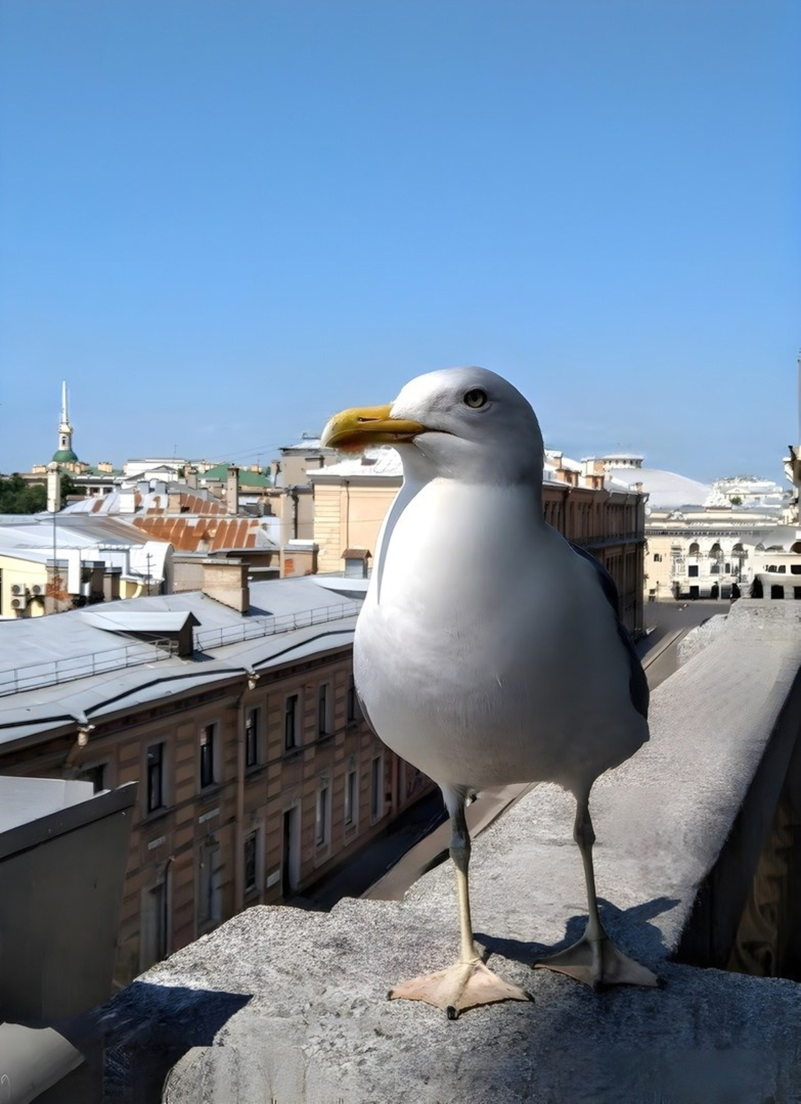 Городские зарисовки. Надежда Козлова, фотограф, Санкт — Петербург