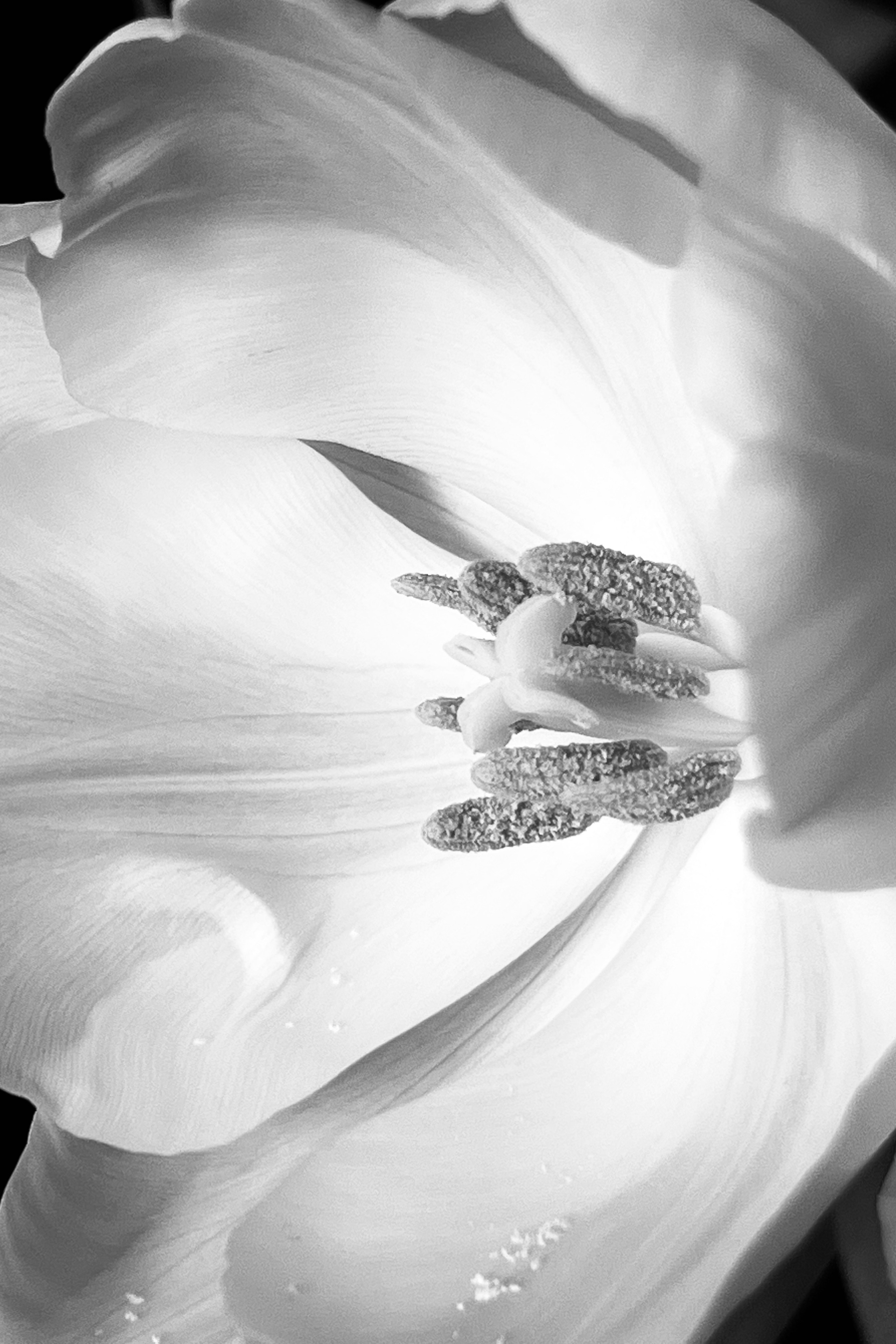 Женский портрет. Екатерина Денисова, фотограф, Москва