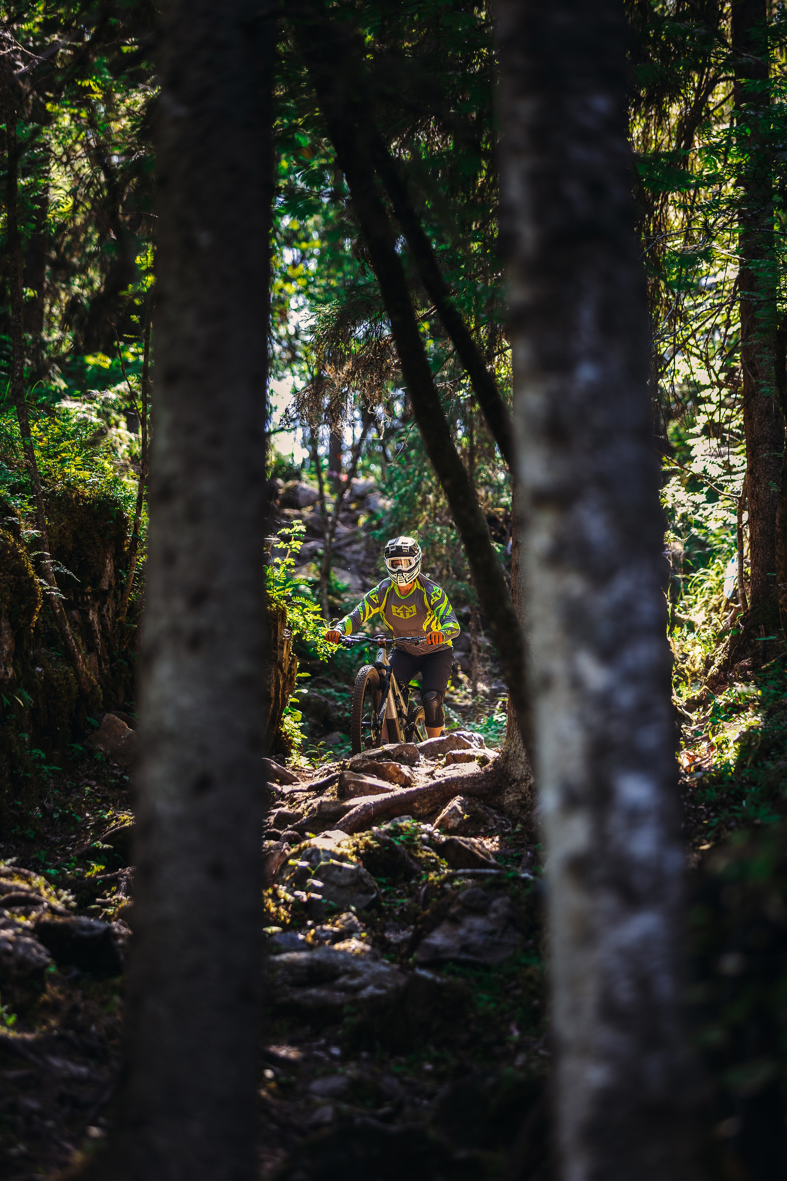 Гонка Ялгора. Фотограф анималист Никита Натальный