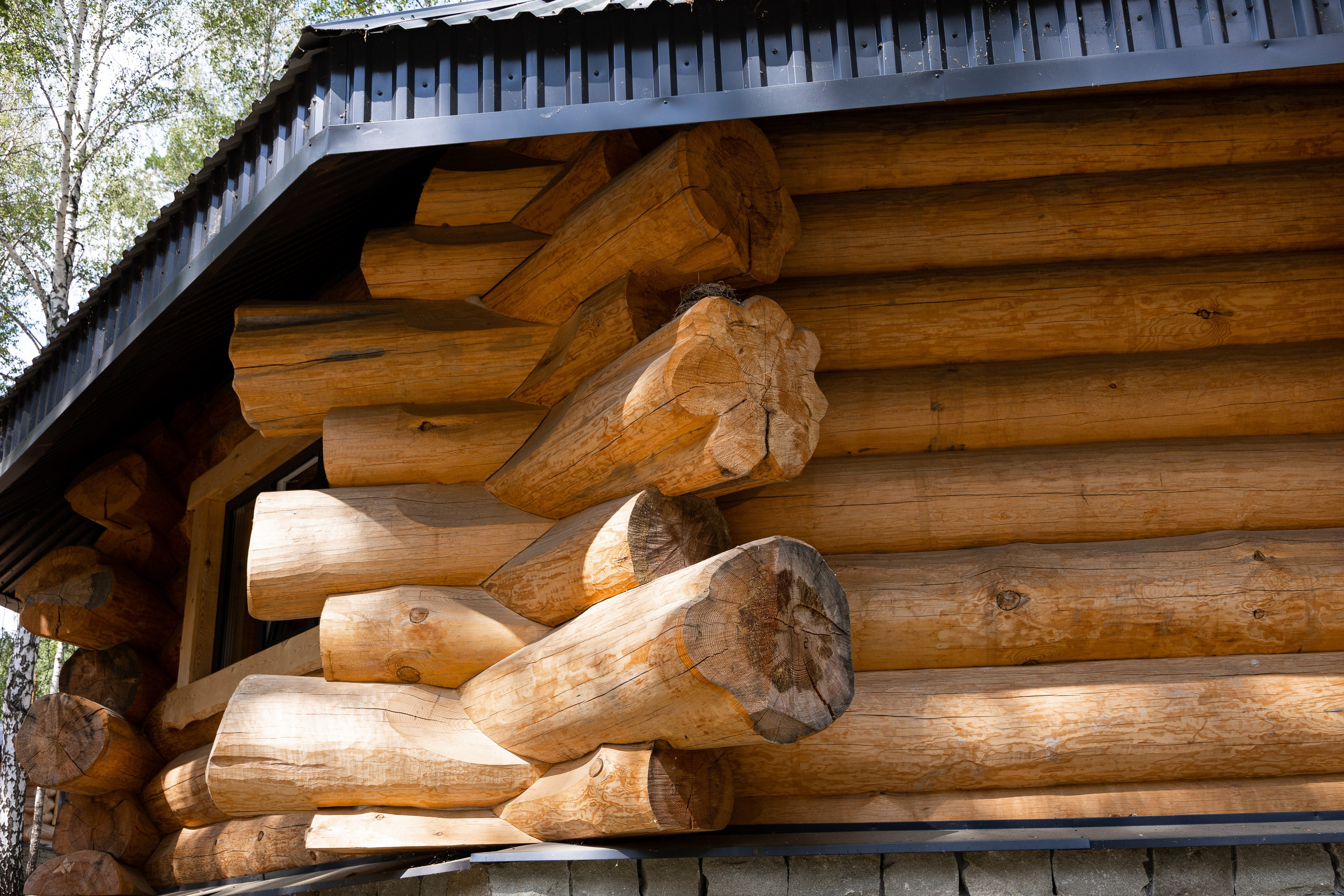 Камнево. Фотограф Денис Лесковский (Тюмень)