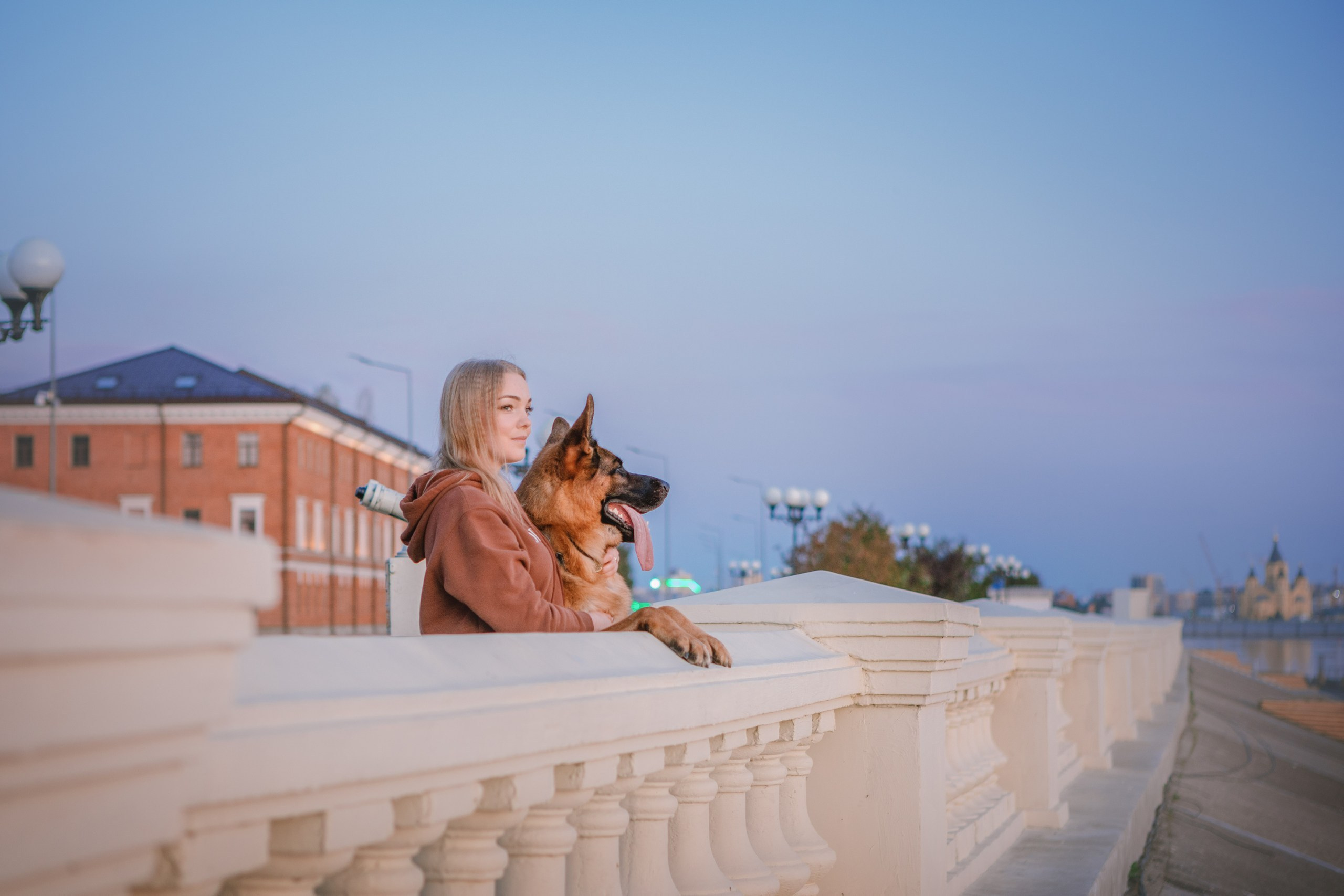 НО Расмус. Рассвет. Фотограф анималист Кузнецова Анна Нижний Новгород