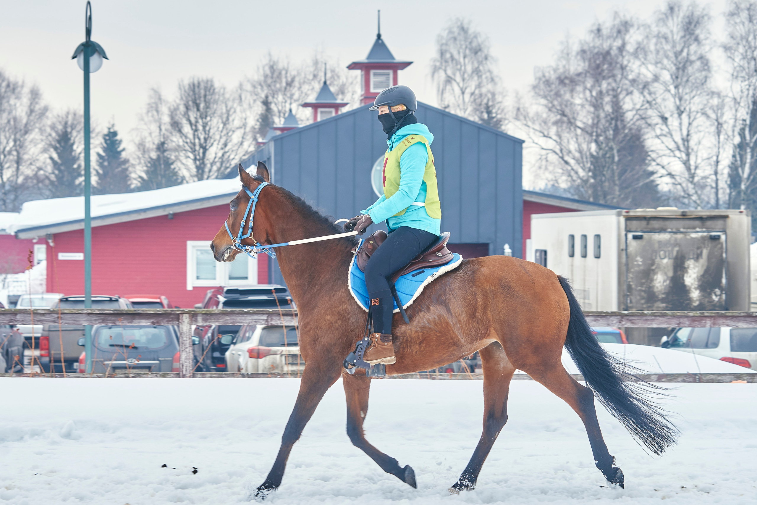 HORSE RACING. Фотограф Наталья Леонова