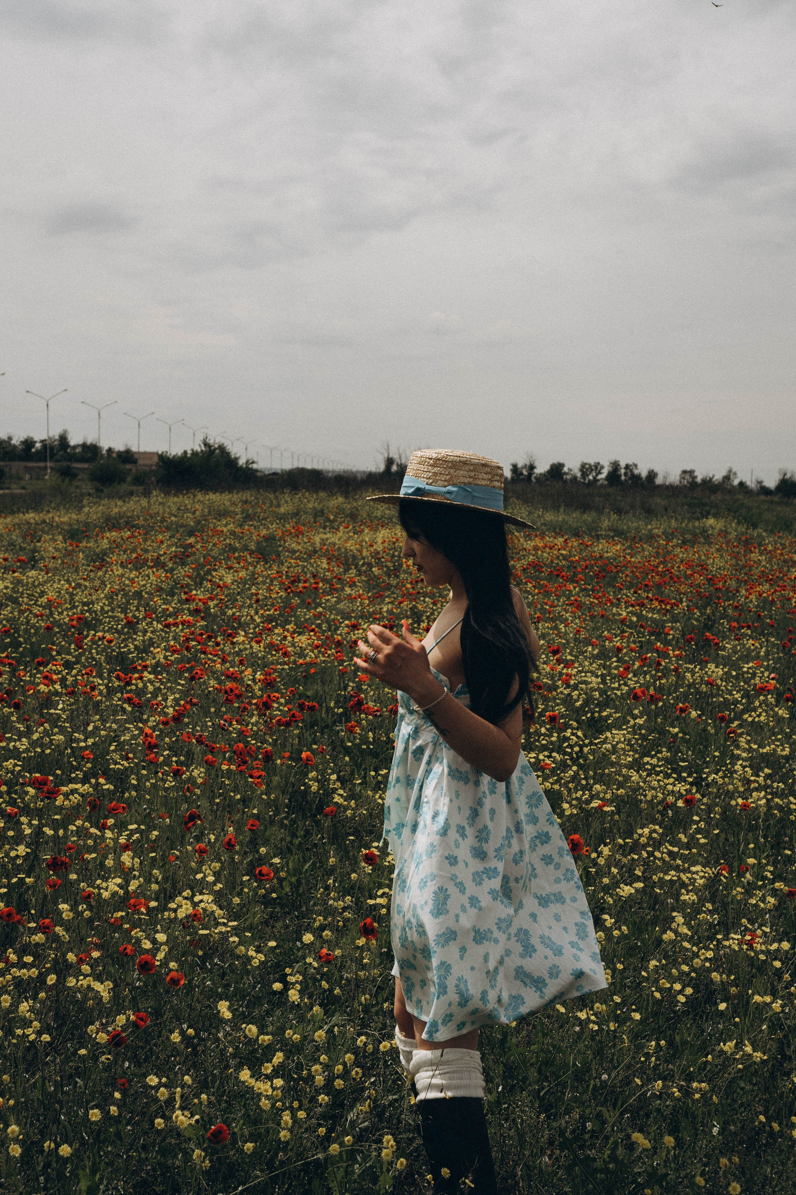 Цветочная поляна. Профессиональный фотограф, Санкт-Петербург — Виктория Богомолова