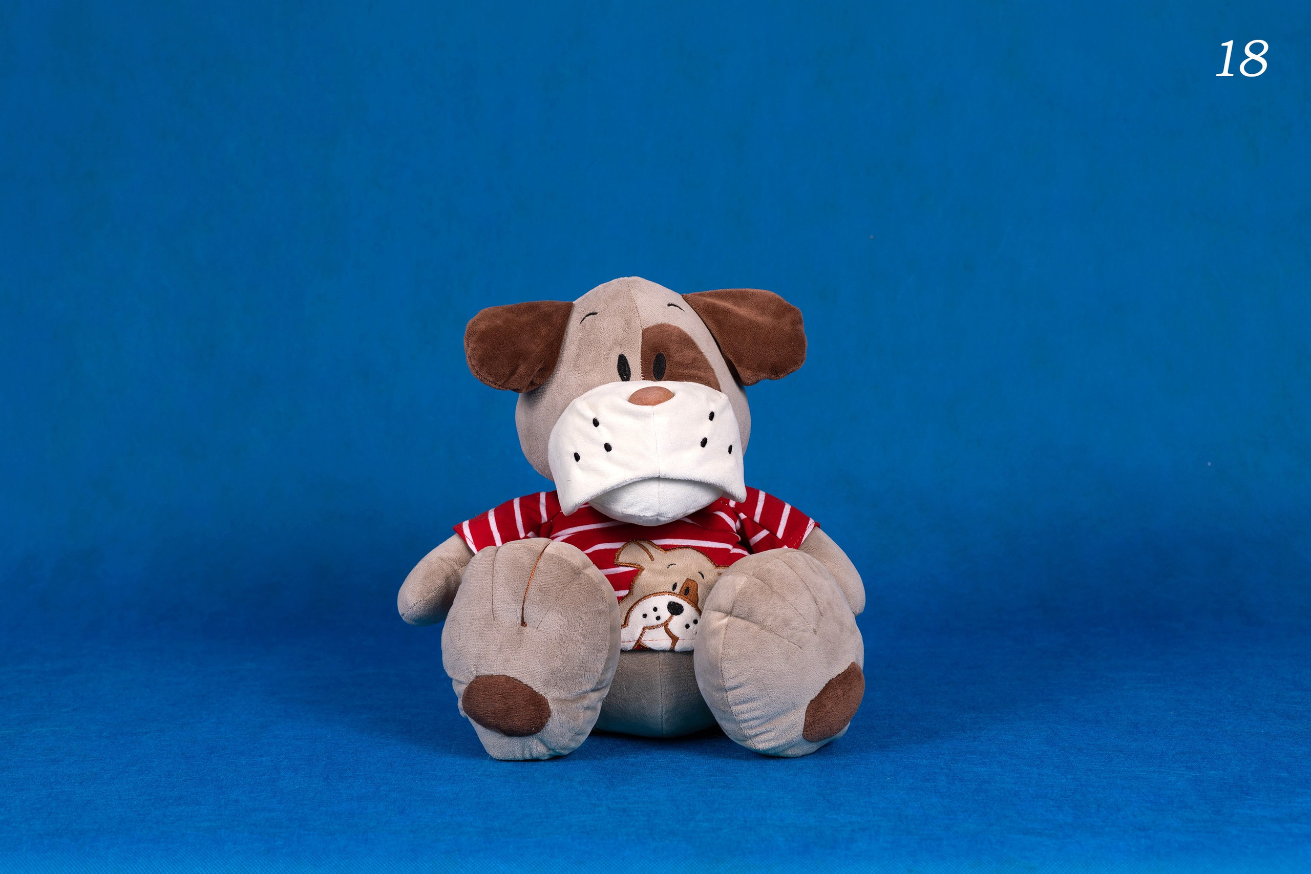 Фоны спектра радуги. Фотограф-анималист в Омске Екатерина Маричева