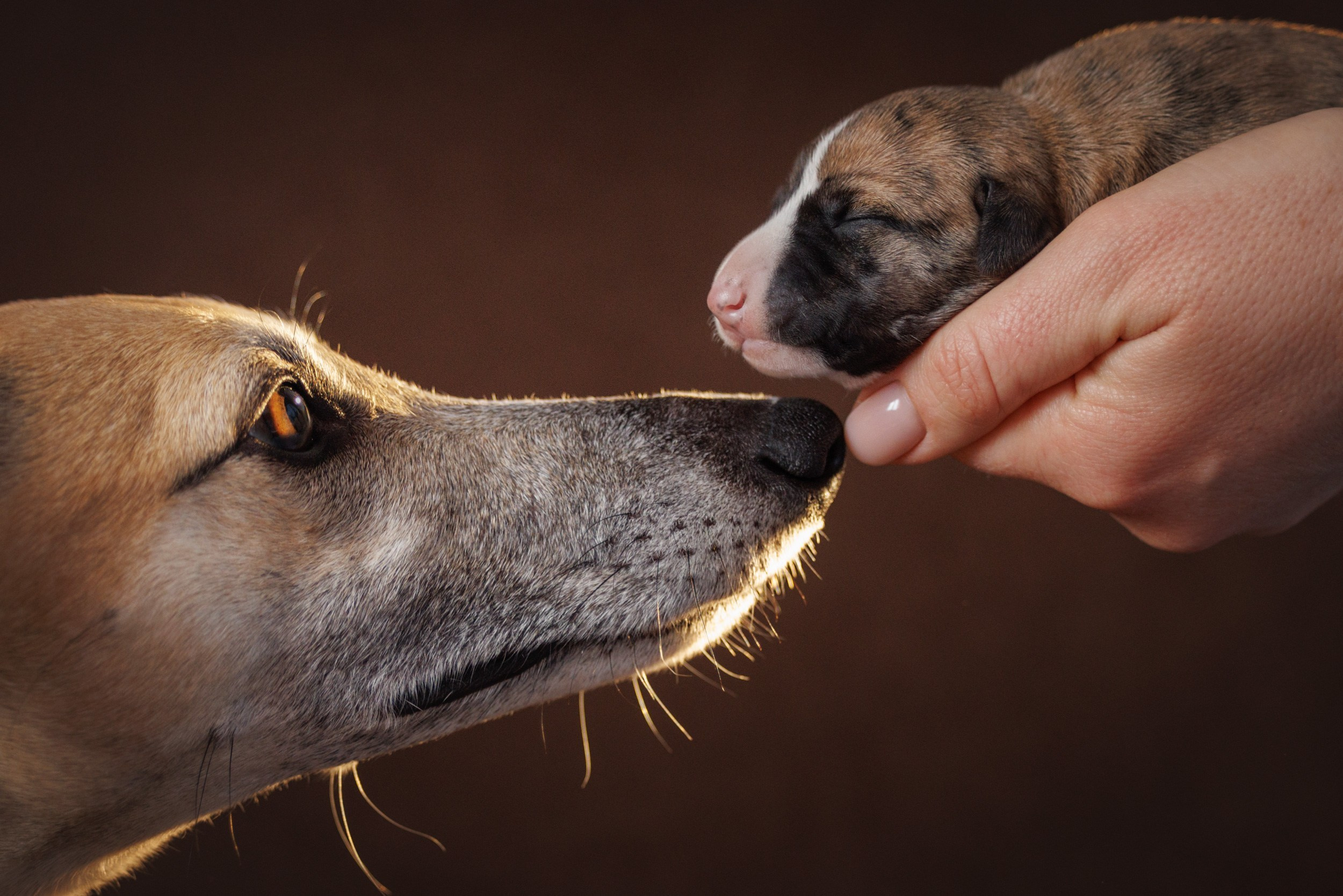 Отзывы. Фотограф Анастасия Ветковская, Москва