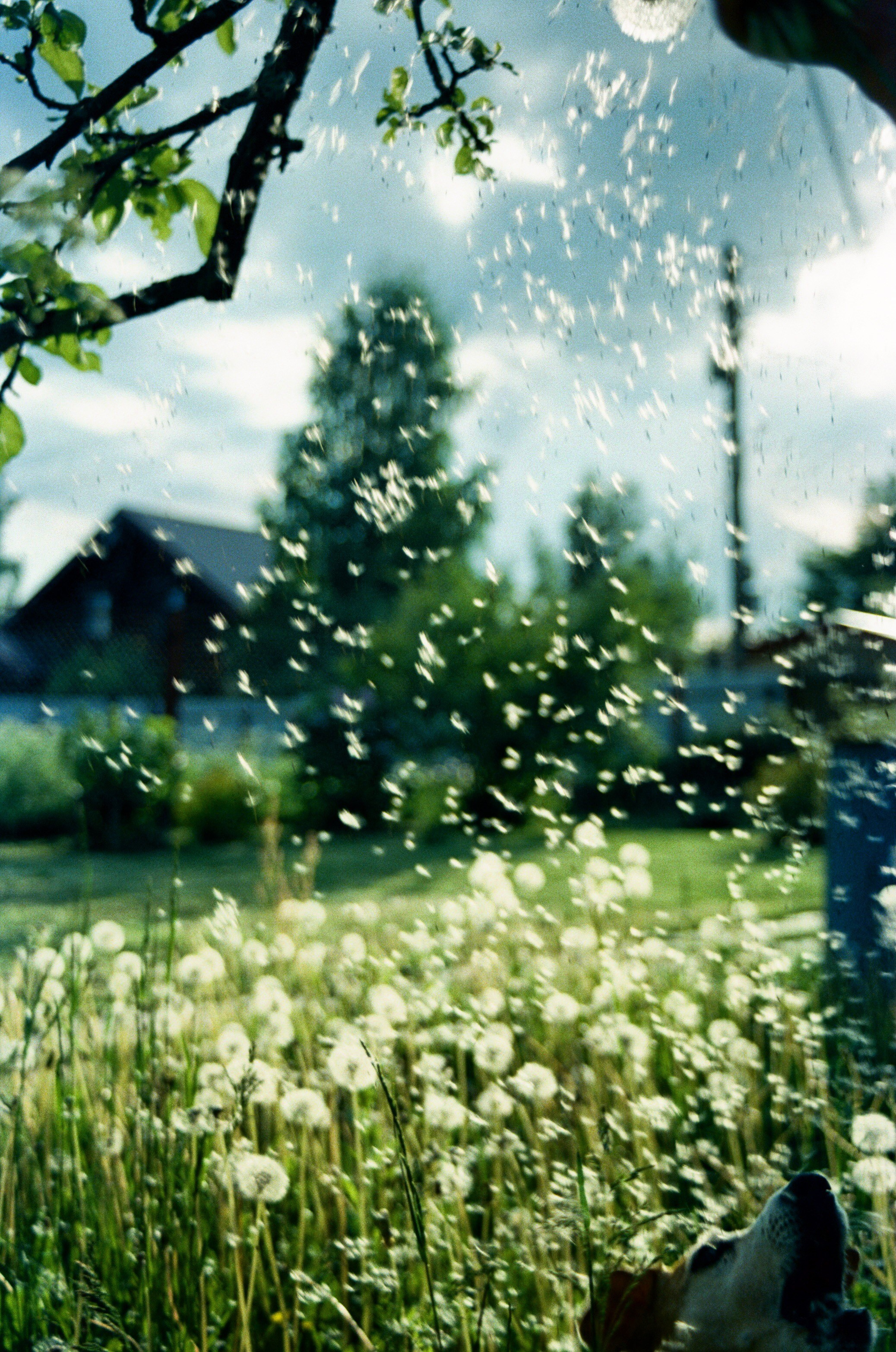 Автор: Юлия Гаркушенко