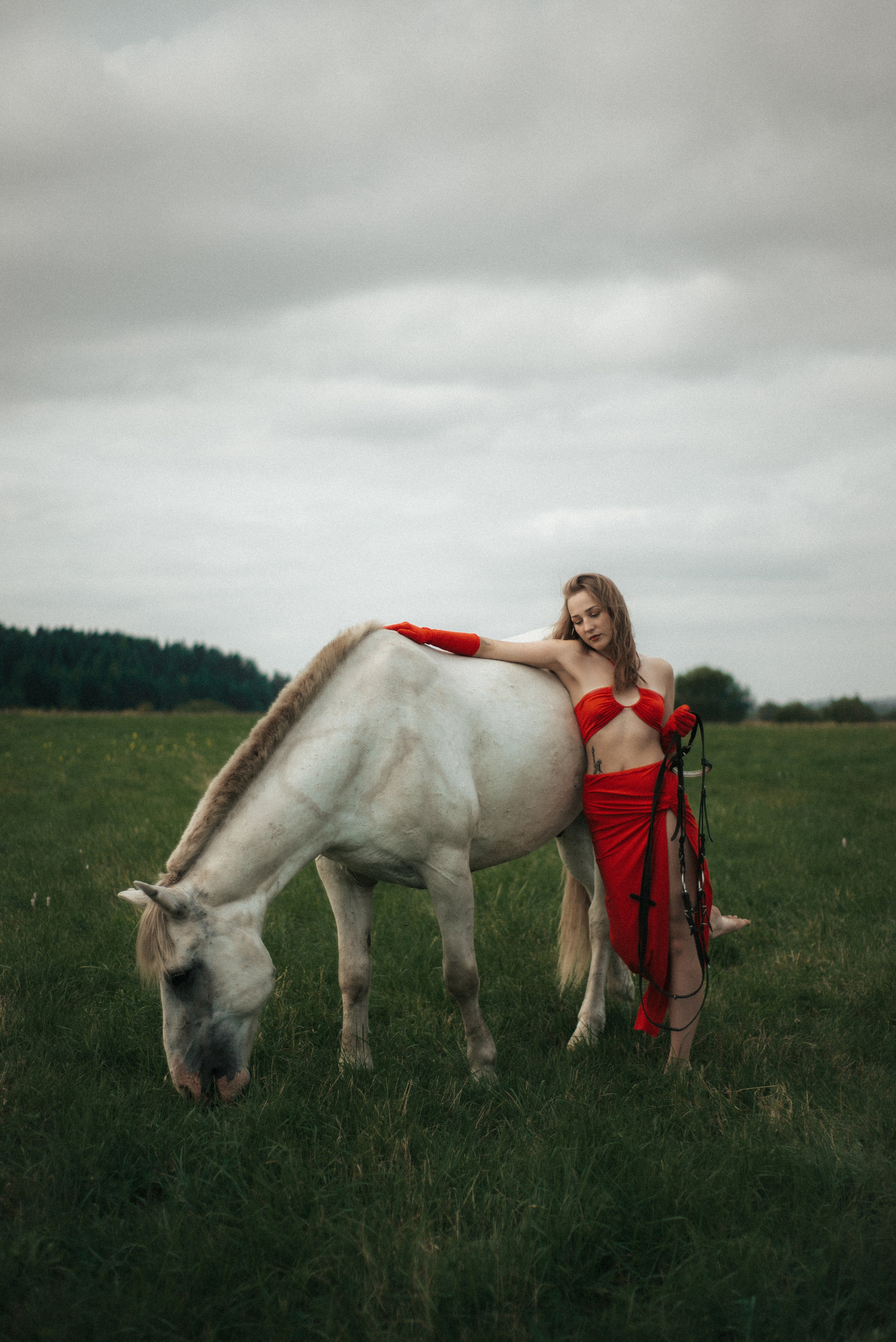 Horse. Фотограф