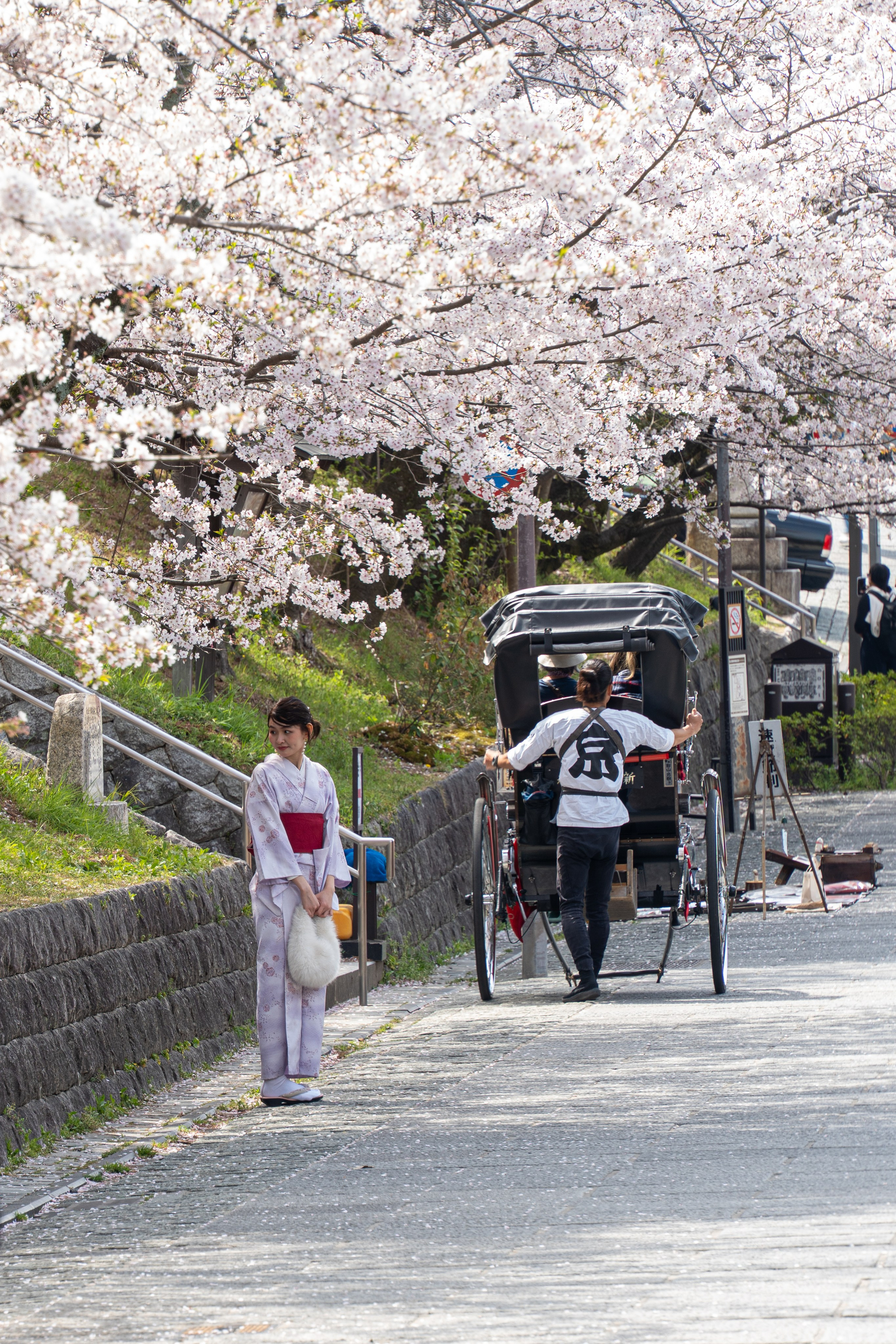 Япония, сакура. Творческие сьемки