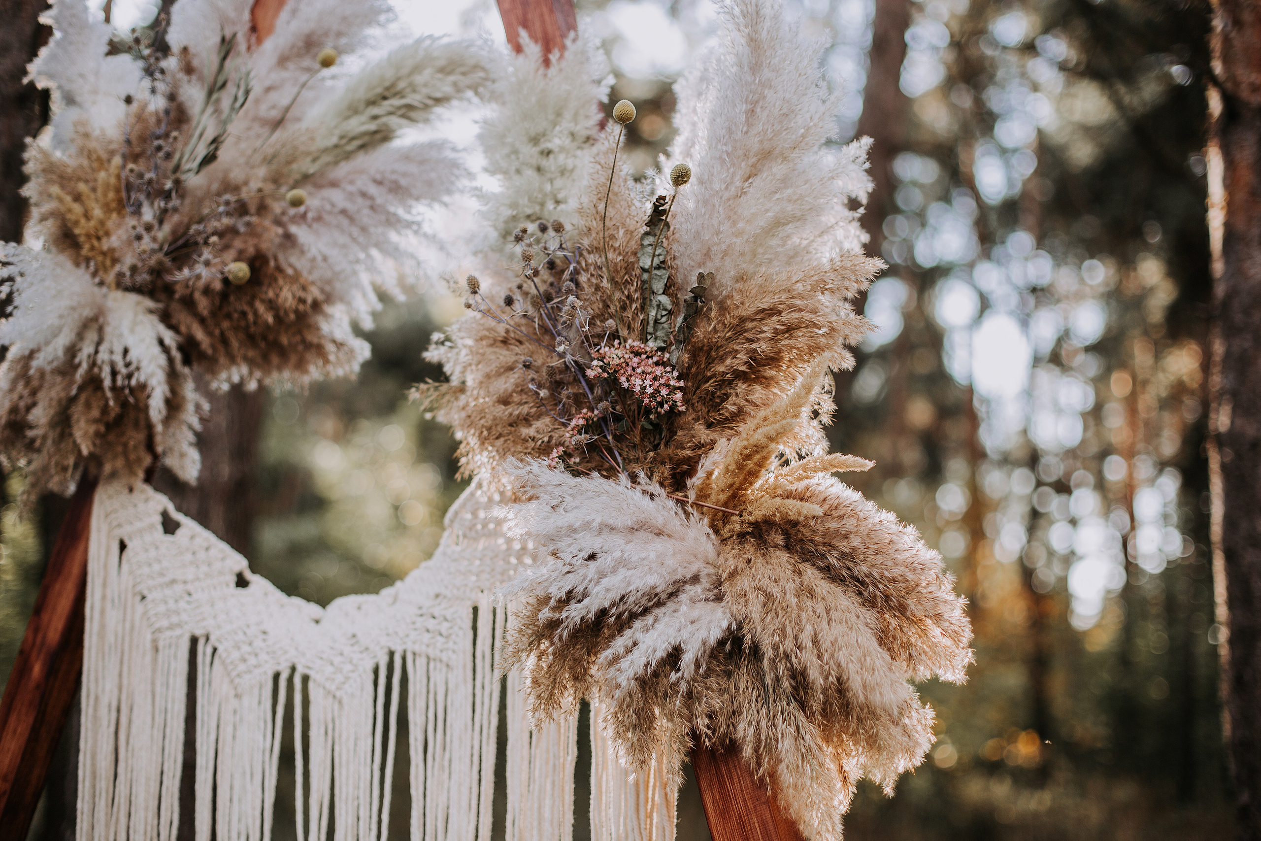 Владимир и Анастасия. Свадебный фотограф и видеограф в Ростове-на-Дону Романенко