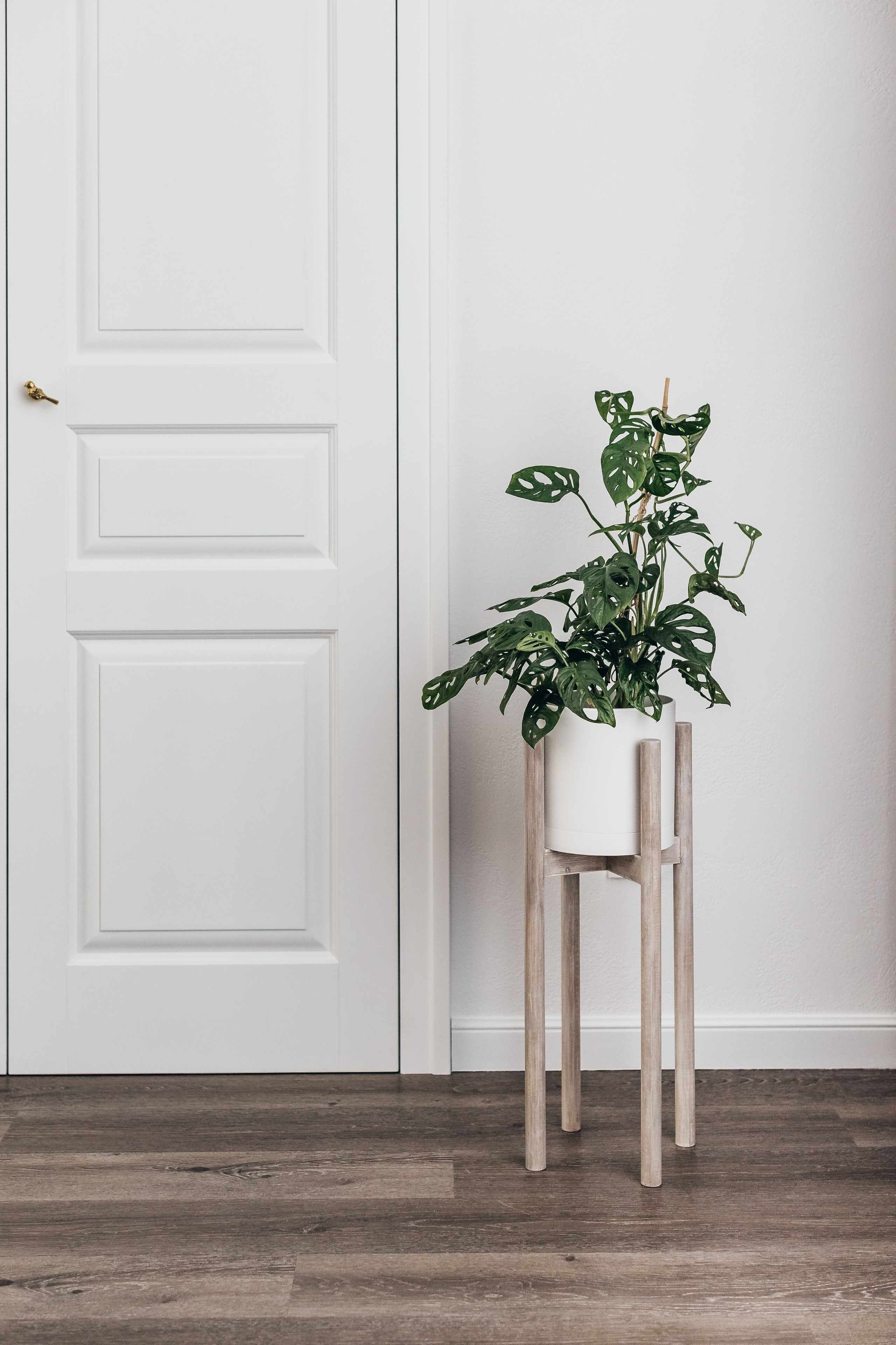 Светлая, просторная фотостудия в Тюмени. Профессиональный фотограф в Тюмени Наталья Кравченко