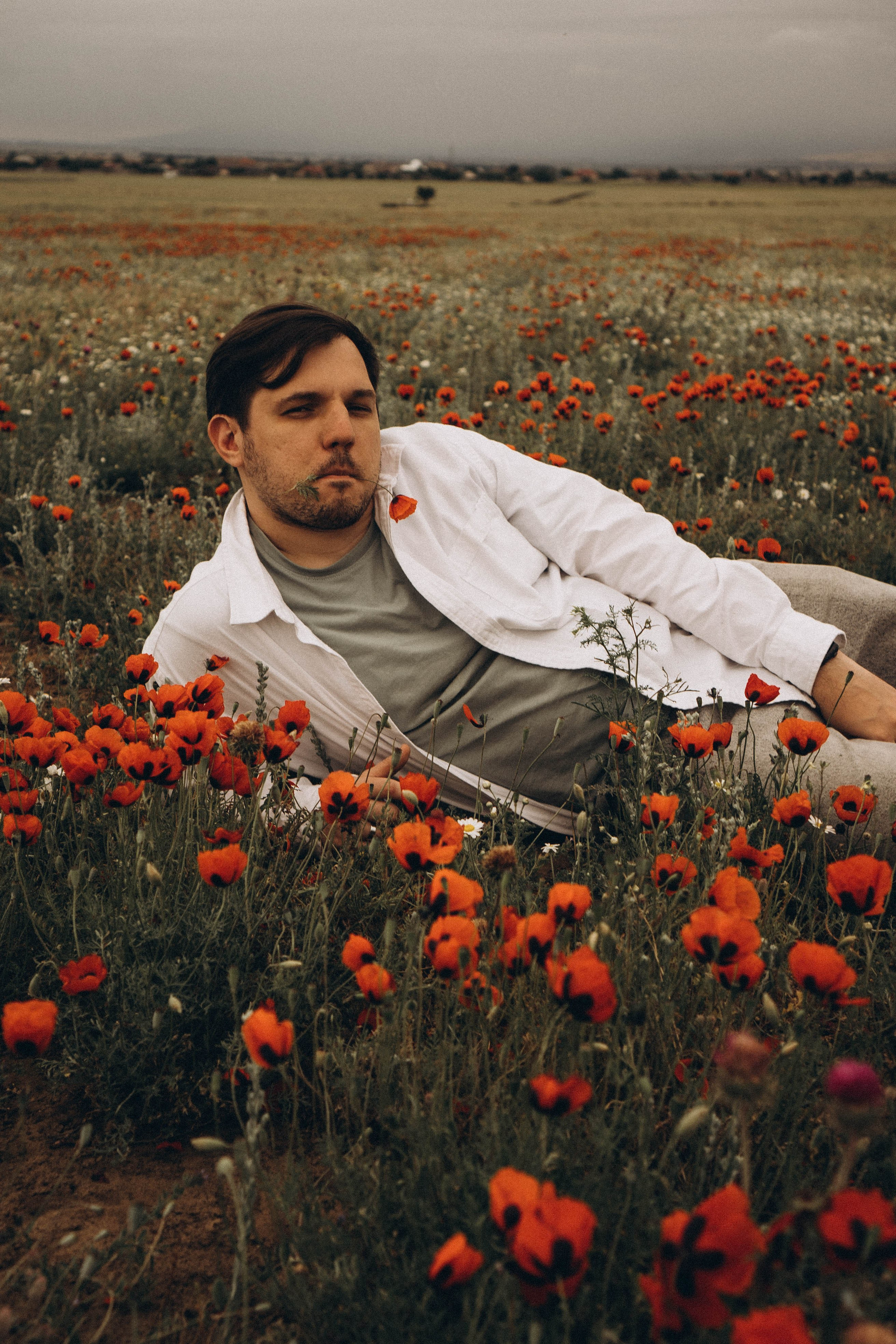 Маки. Профессиональный фотограф, Санкт-Петербург — Виктория Богомолова