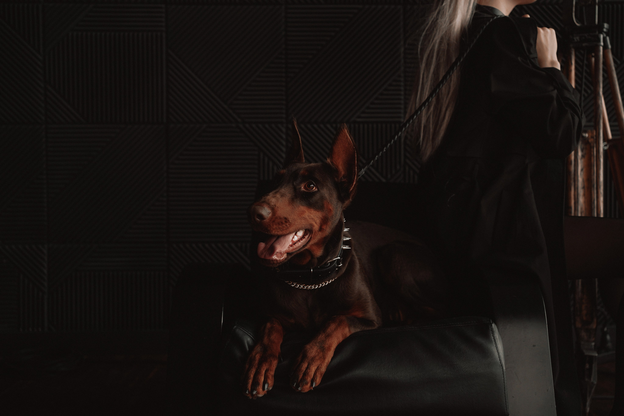 Фотосессия с собакой в Ростове-на-Дону. Женский фотограф Алёна Чёботова. Свадебный фотограф в Ростове-на-Дону. Таинство Крещения и Венчания, семейные фотосессии. Алёна Чёботова