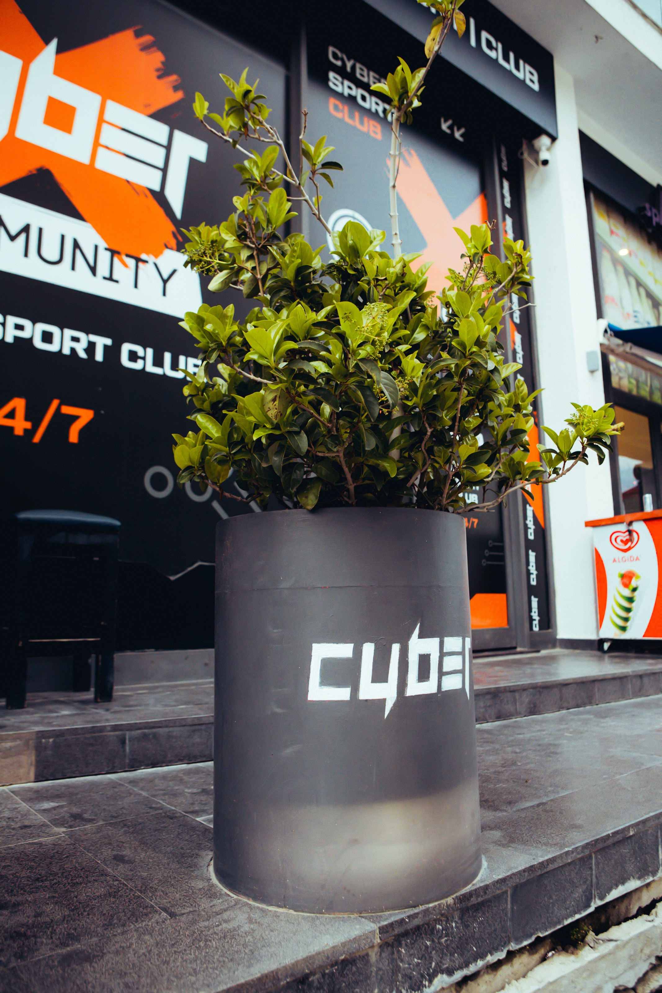 Game Club. Фотограф в Батуми Павел Шарников