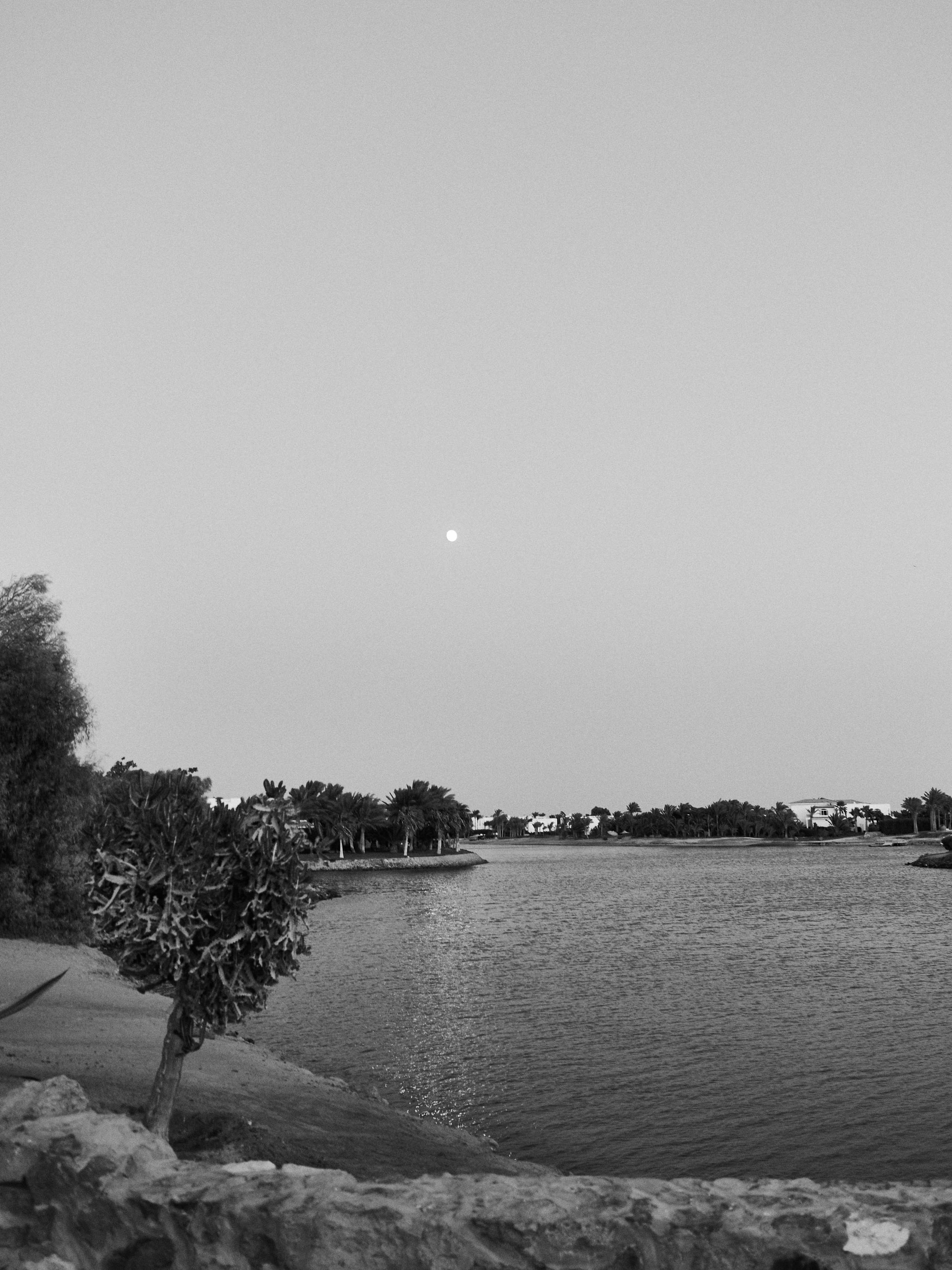 Другое 3. Jorgis Talè — photographer, kind person, teacher of arts and other mag