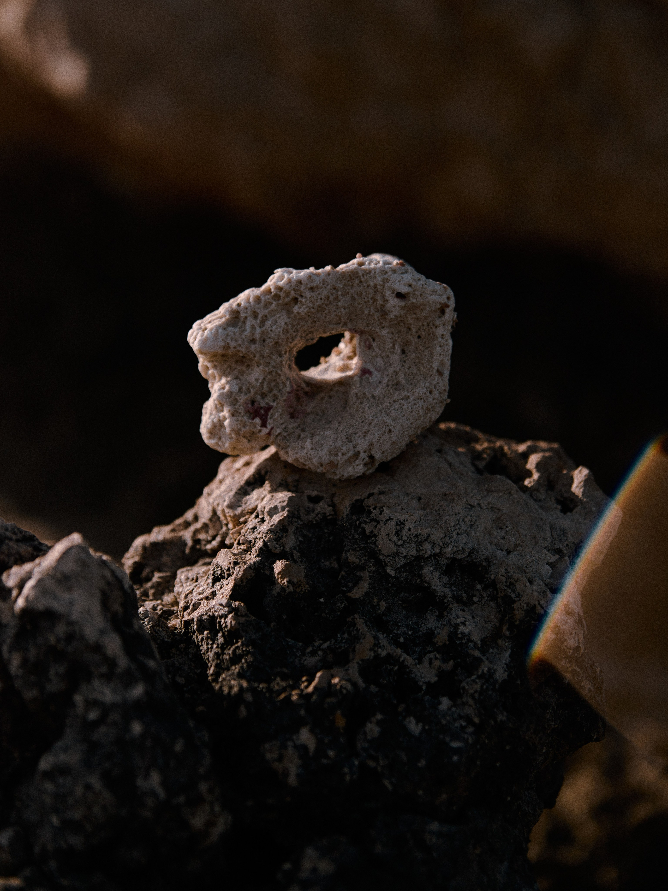 Природа. Jorgis Talè — photographer, kind person, teacher of arts and other mag