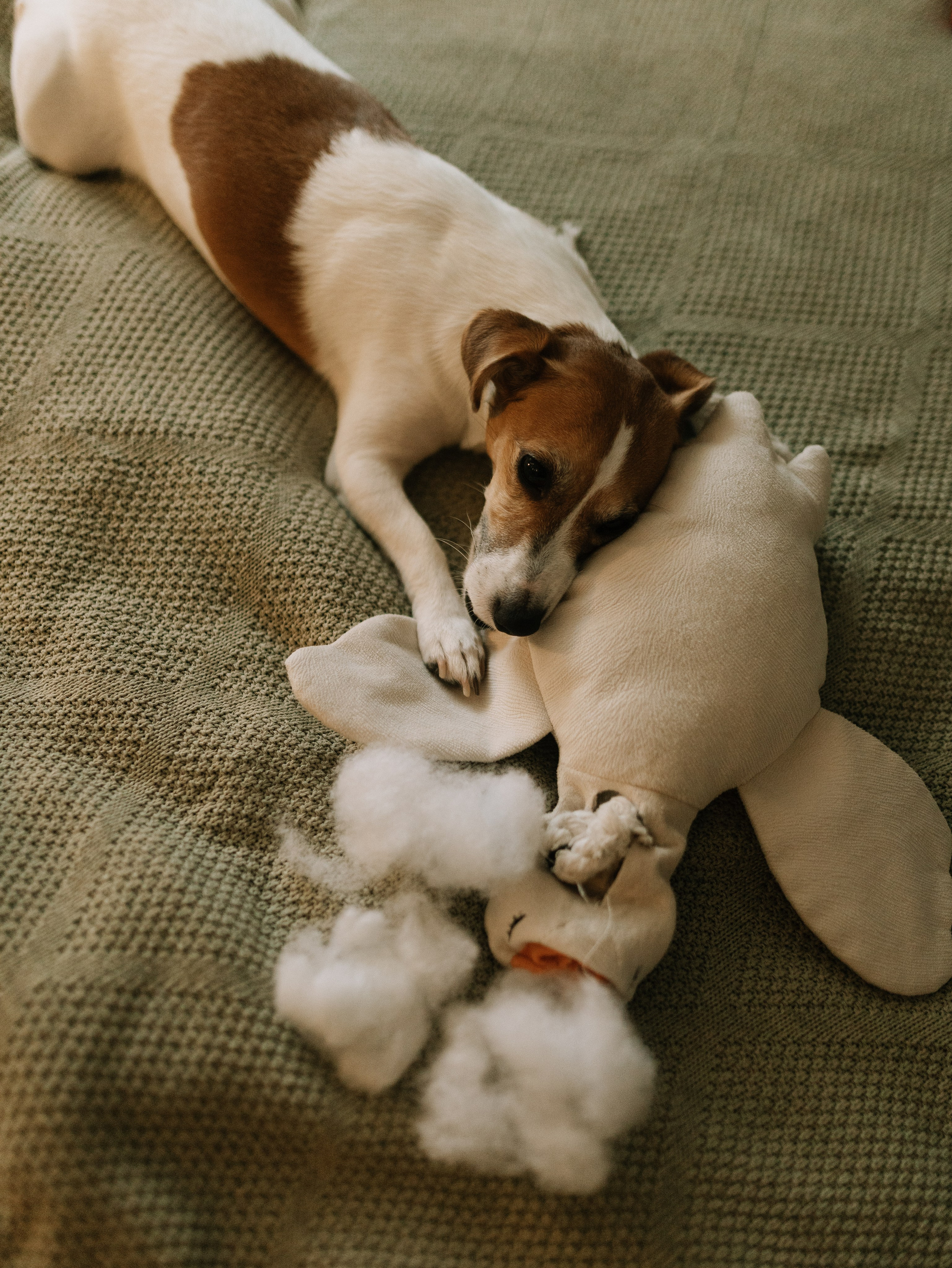 ♡. Фотограф во Владимире, Москве и Суздале-Виктория Чистякова