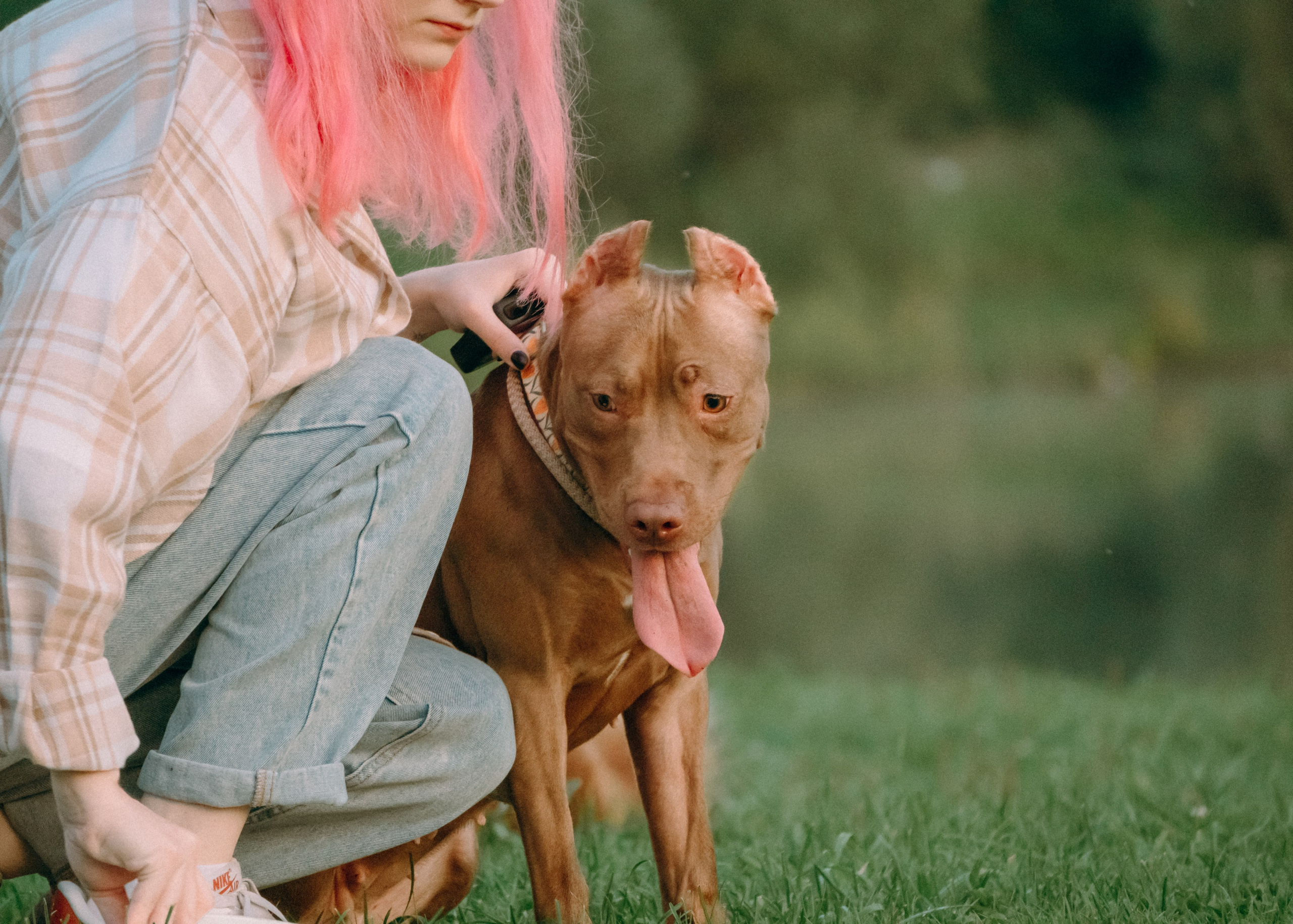 Виолетта, Лила и Питер. Фотограф-анималист Ксения Воробьева, Москва