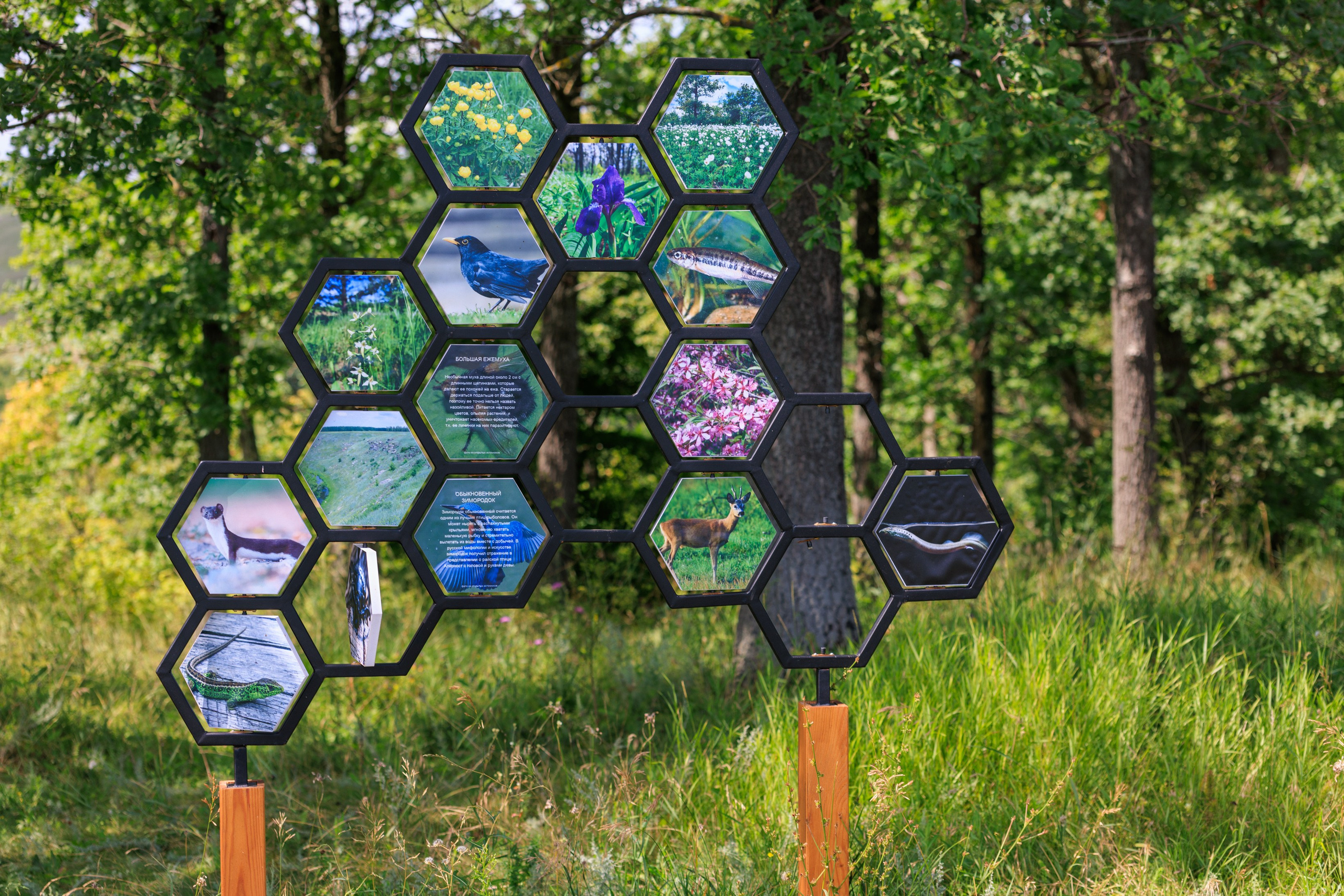 «Горная страна в миниатюре» — экологическая тропа в Аргамач-Пальна. Профессиональный фотограф в Воронеже | Липецке | Тамбове — Алексей Зайцев