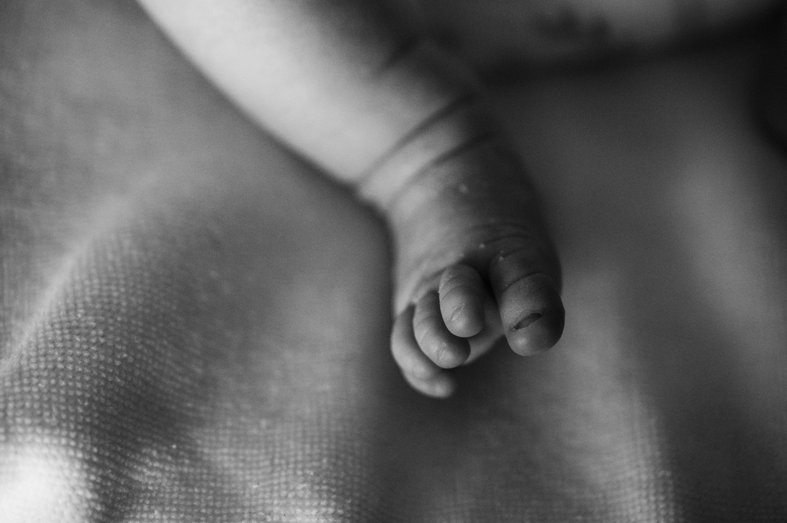 Лизавета, Никита и Мирослава. Фотограф беременности и семьи, домашние съемки, Ньюборн