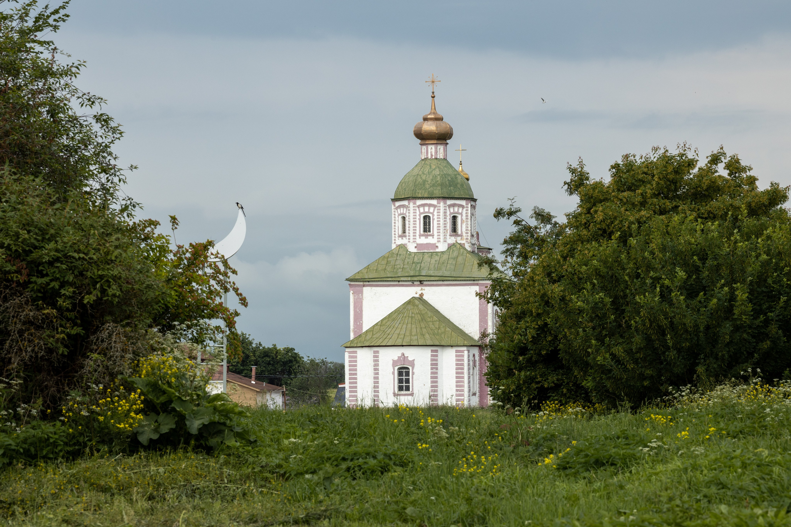 Природные пейзажи. Наталия Клевинскас портретный фотограф в Костроме