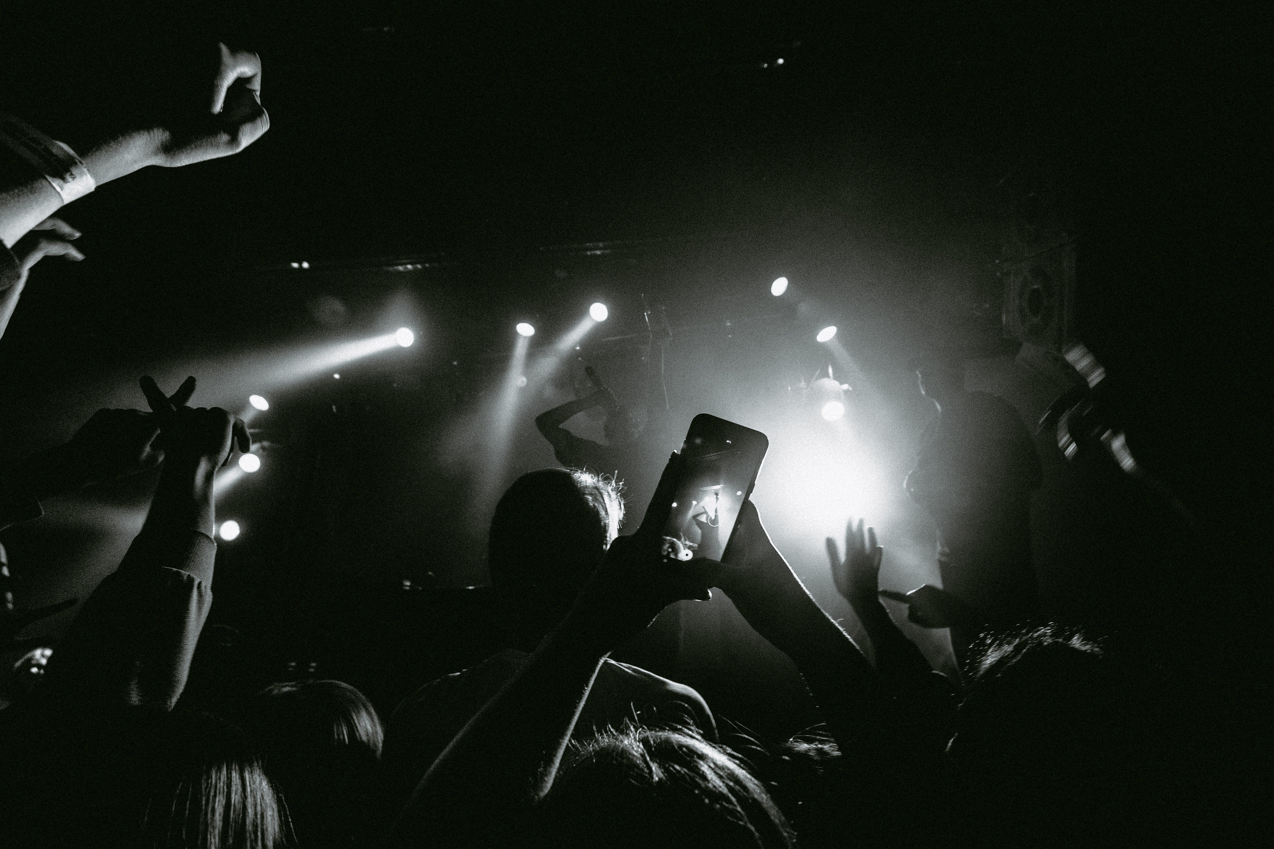 Концерт Хаски. Фотограф Serj Ganso