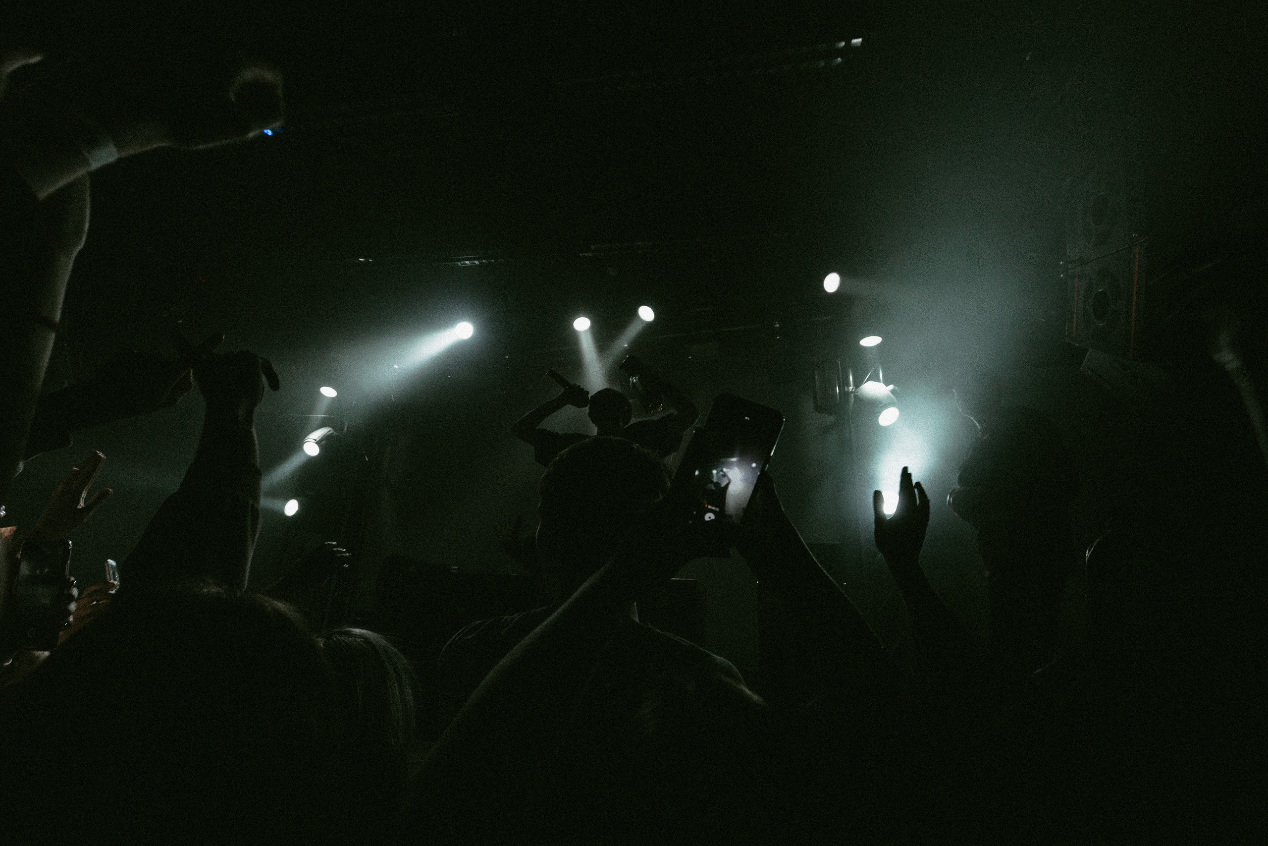 Концерт Хаски. Фотограф Serj Ganso